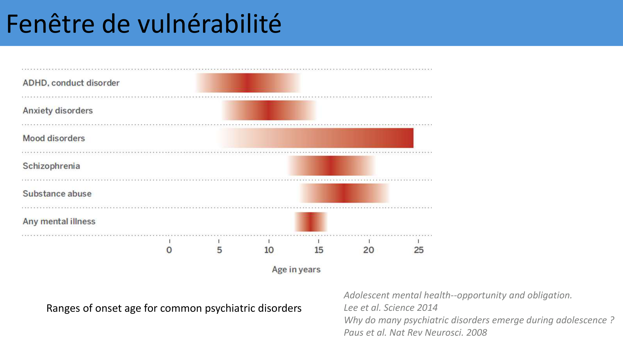 Barbe Remy 290126 page 12