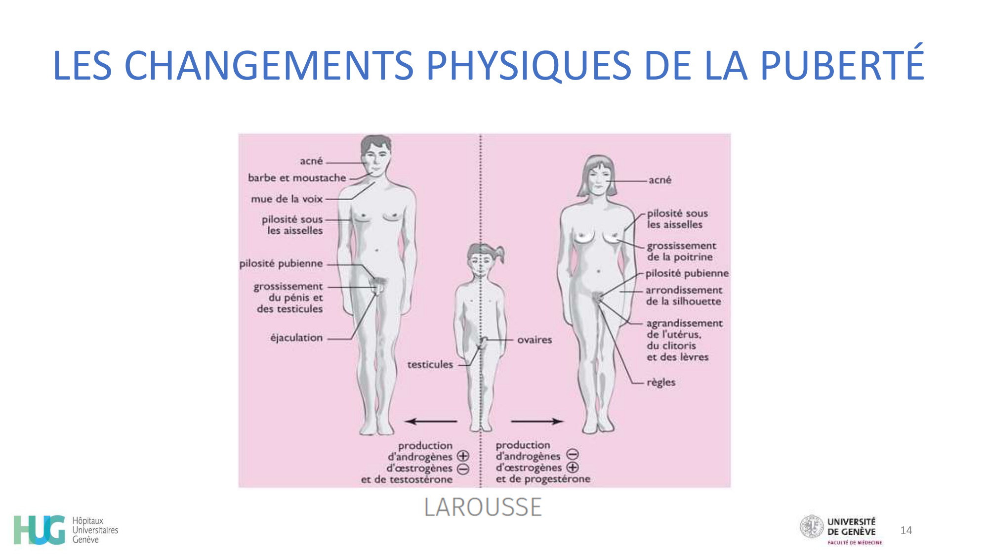 CHAMAY WEBER Developpement psychosociale de ladolescent 2026 page 14