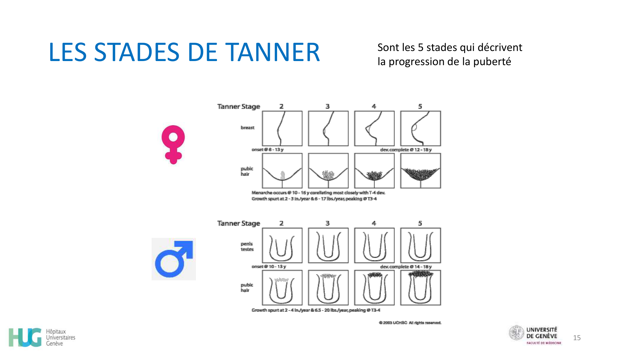 CHAMAY WEBER Developpement psychosociale de ladolescent 2026 page 15
