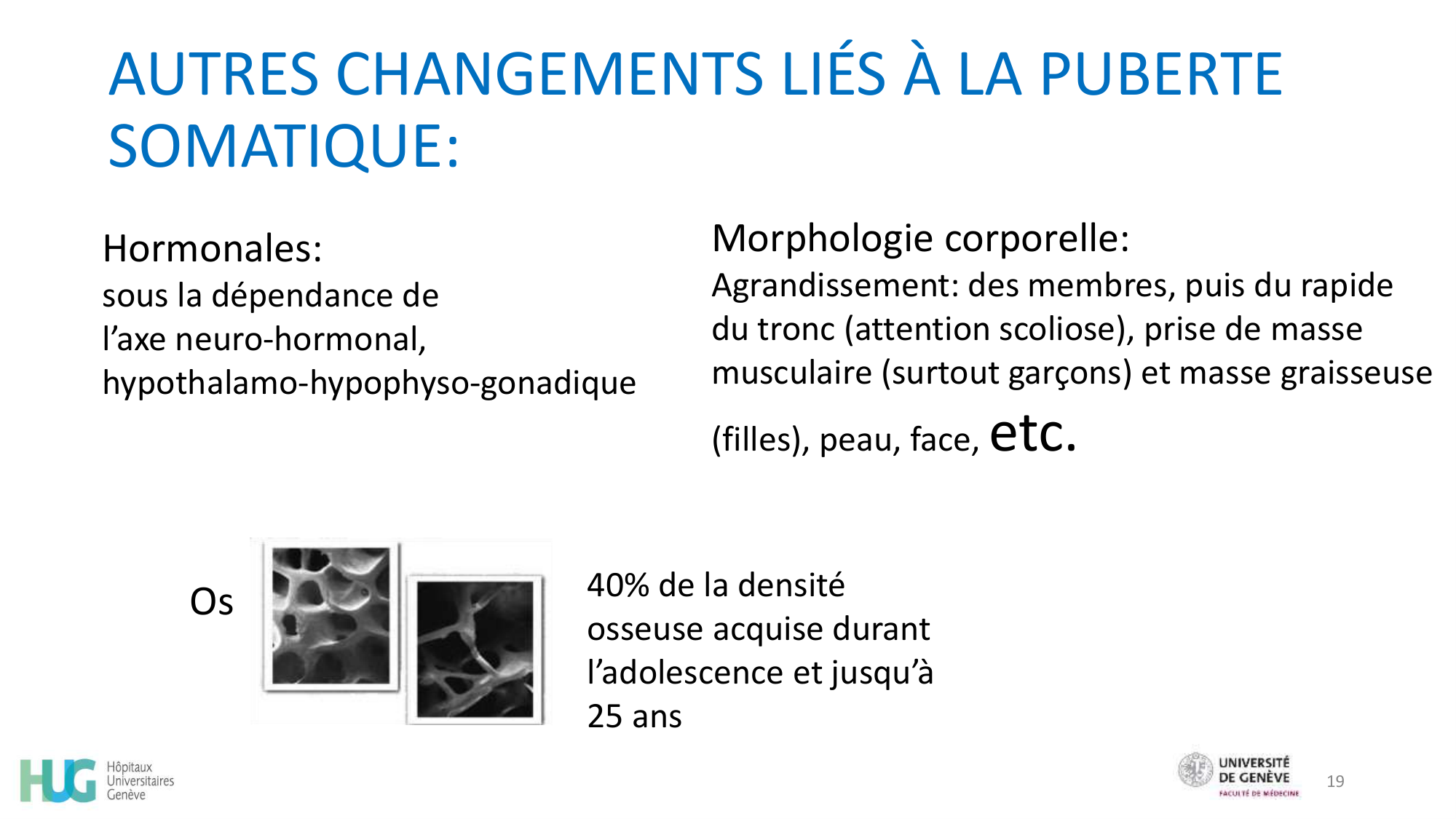 CHAMAY WEBER Developpement psychosociale de ladolescent 2026 page 19