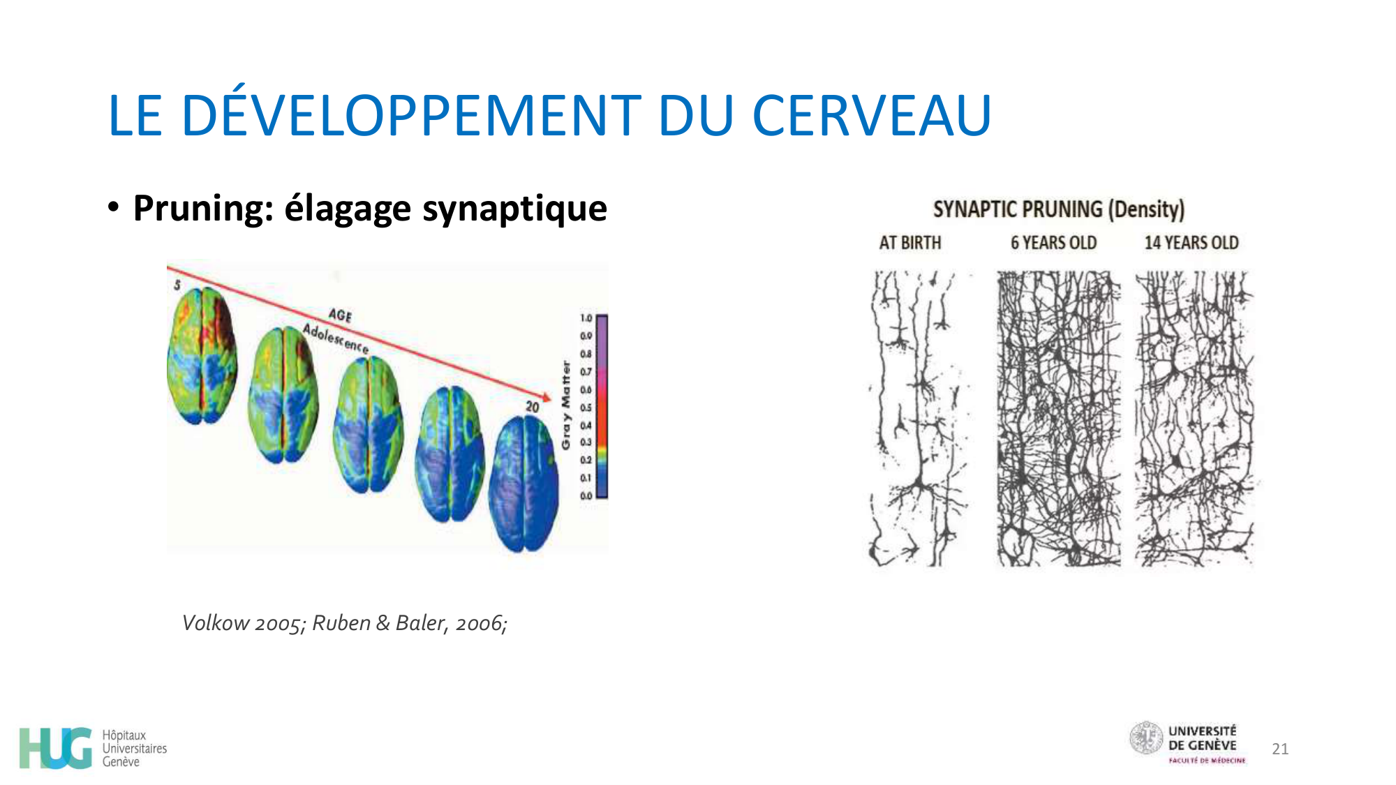 CHAMAY WEBER Developpement psychosociale de ladolescent 2026 page 21