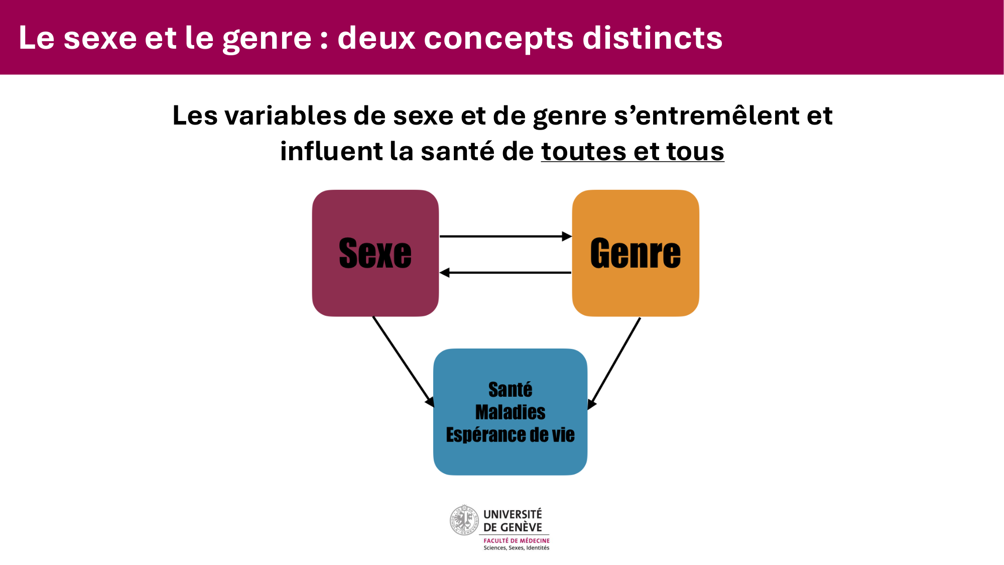 Cours PSS SGS FINAL 050326 sans menti page 15
