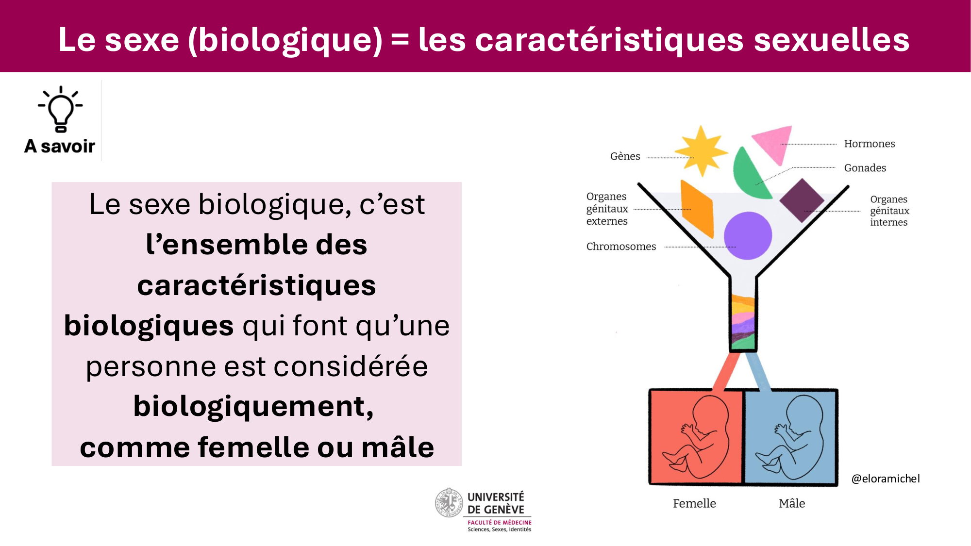 Cours PSS SGS FINAL 050326 sans menti page 19