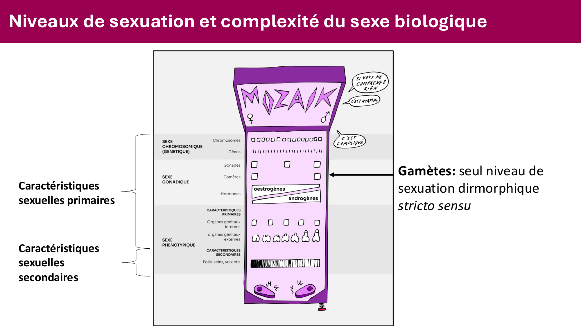 Cours PSS SGS FINAL 050326 sans menti page 21