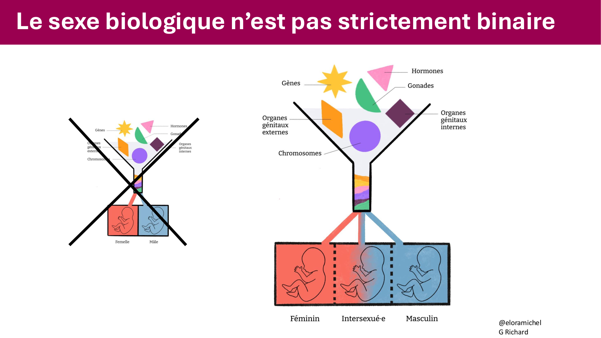 Cours PSS SGS FINAL 050326 sans menti page 23