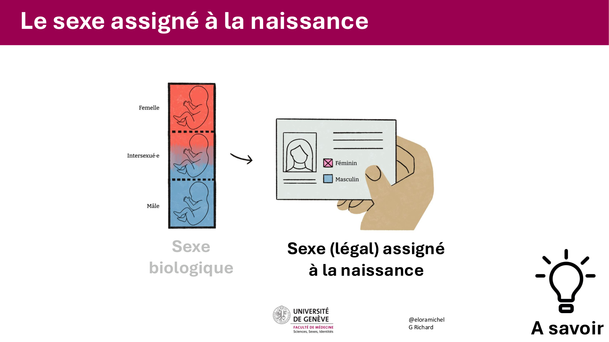 Cours PSS SGS FINAL 050326 sans menti page 25