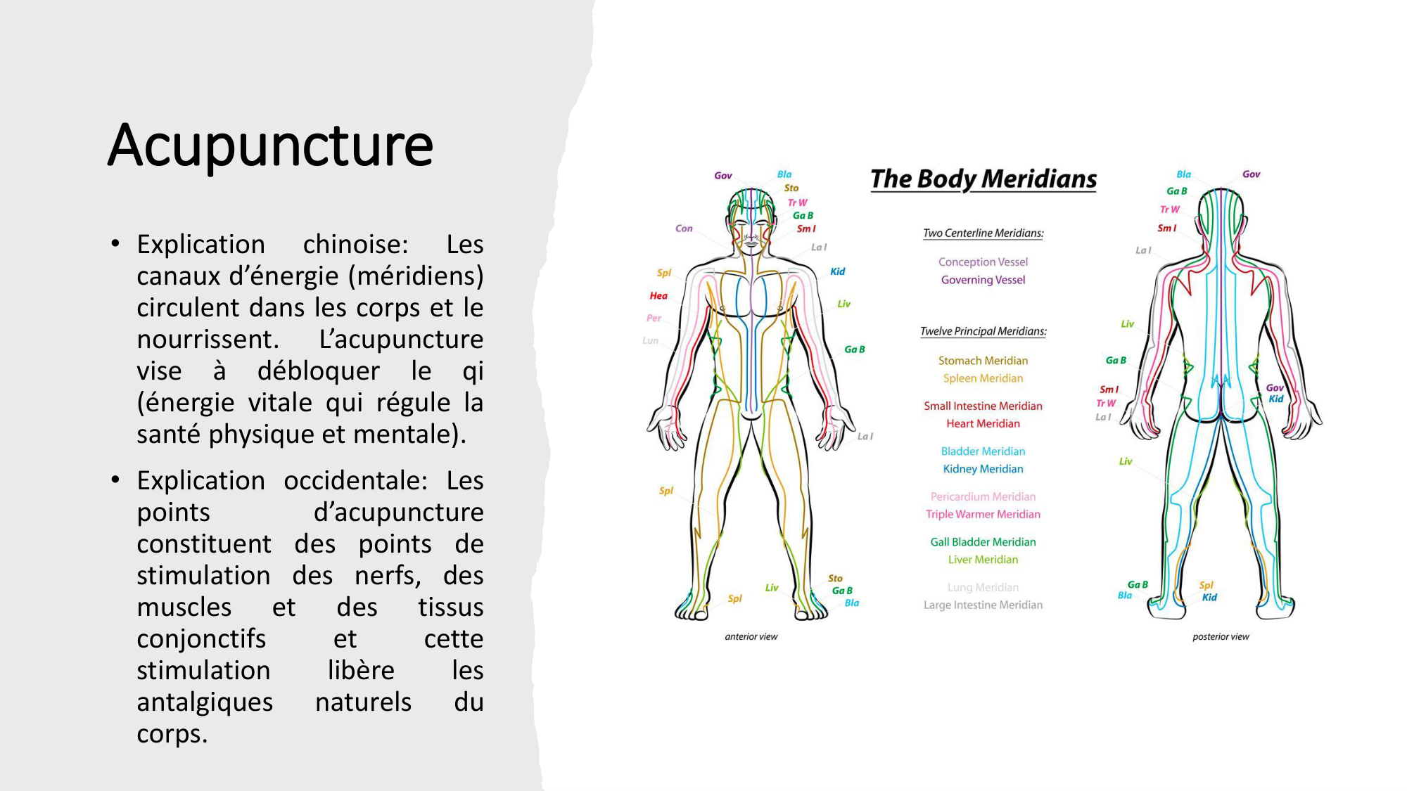 Exemple de prise en charge intégrée de la douleur chronique- 27.03.26 page 21