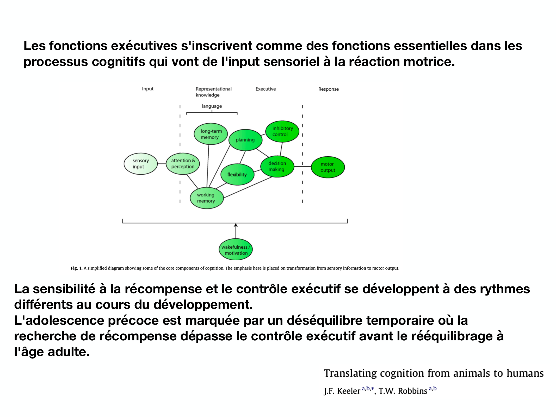 Fonctions Executives Eliez 2026 page 7