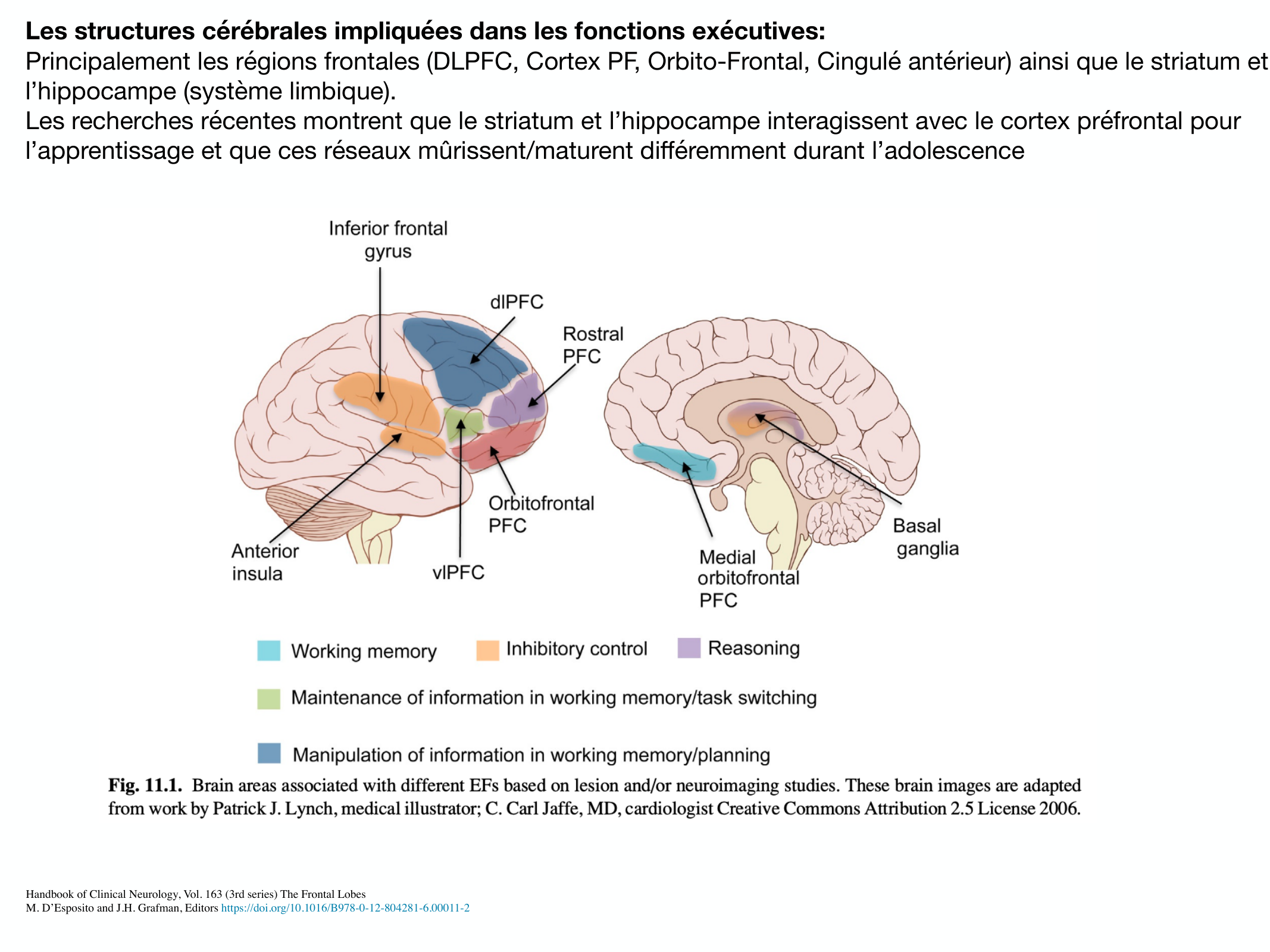 Fonctions Executives Eliez 2026 page 8
