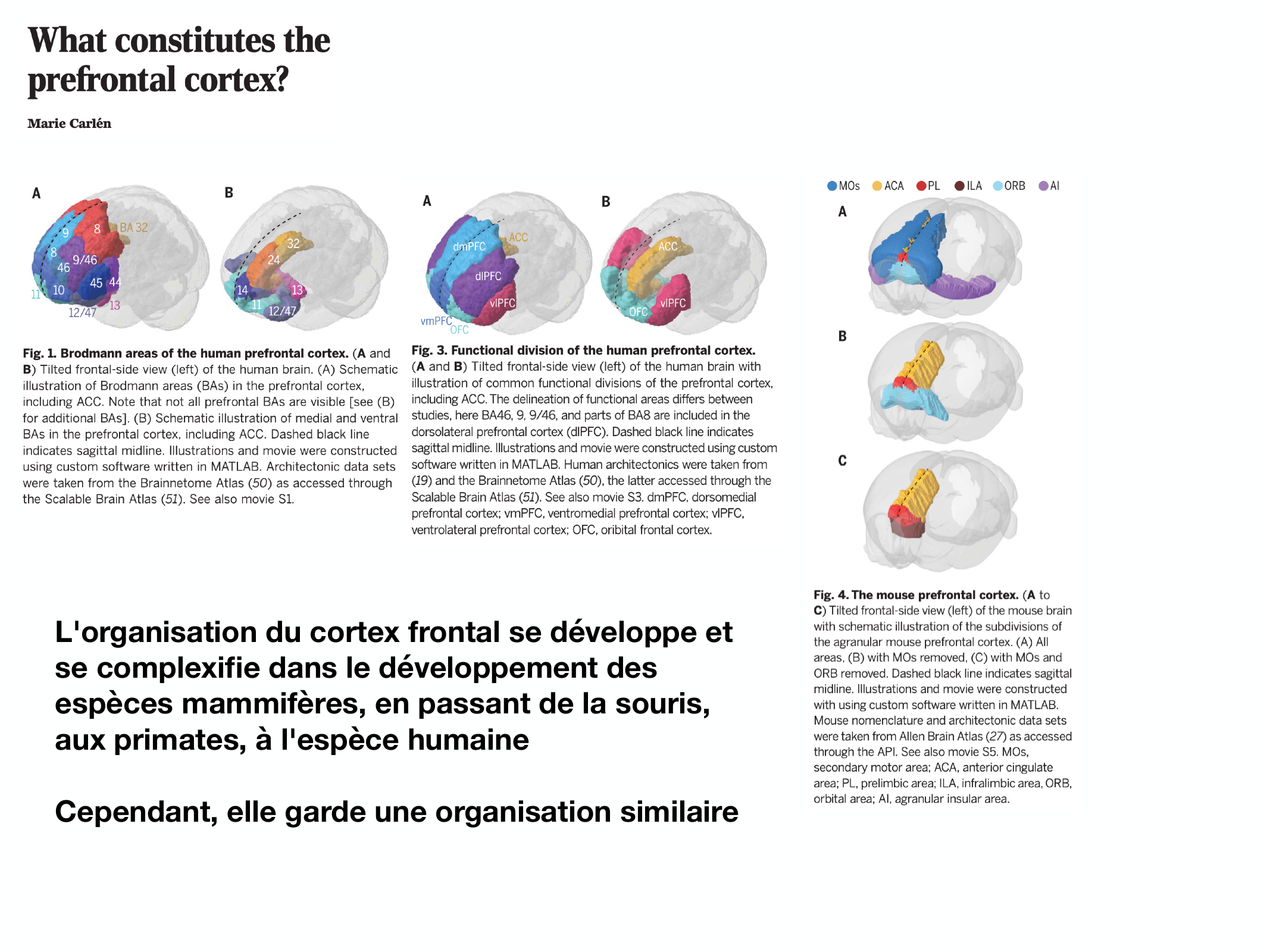Fonctions Executives Eliez 2026 page 9
