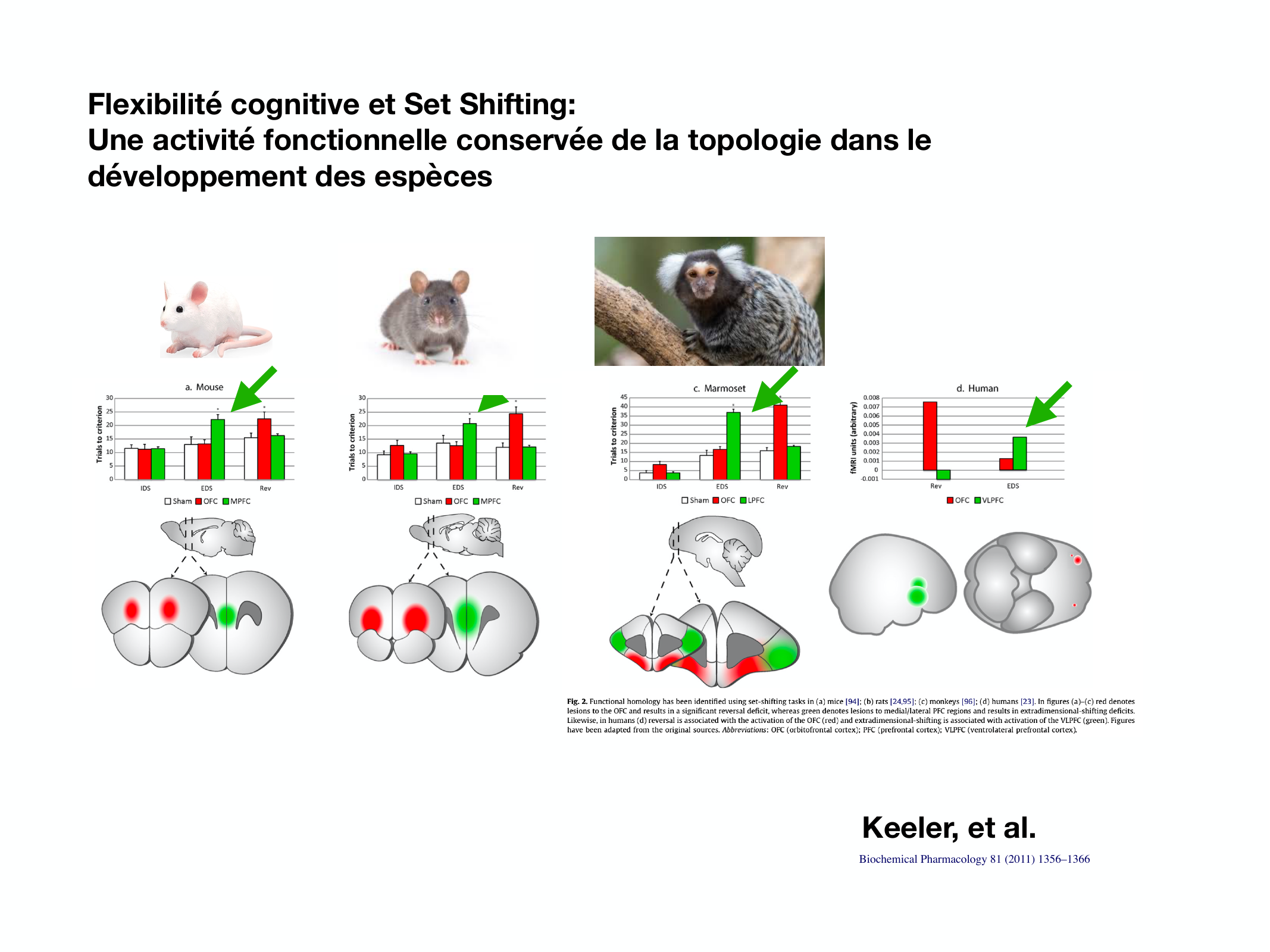 Fonctions Executives Eliez 2026 page 10