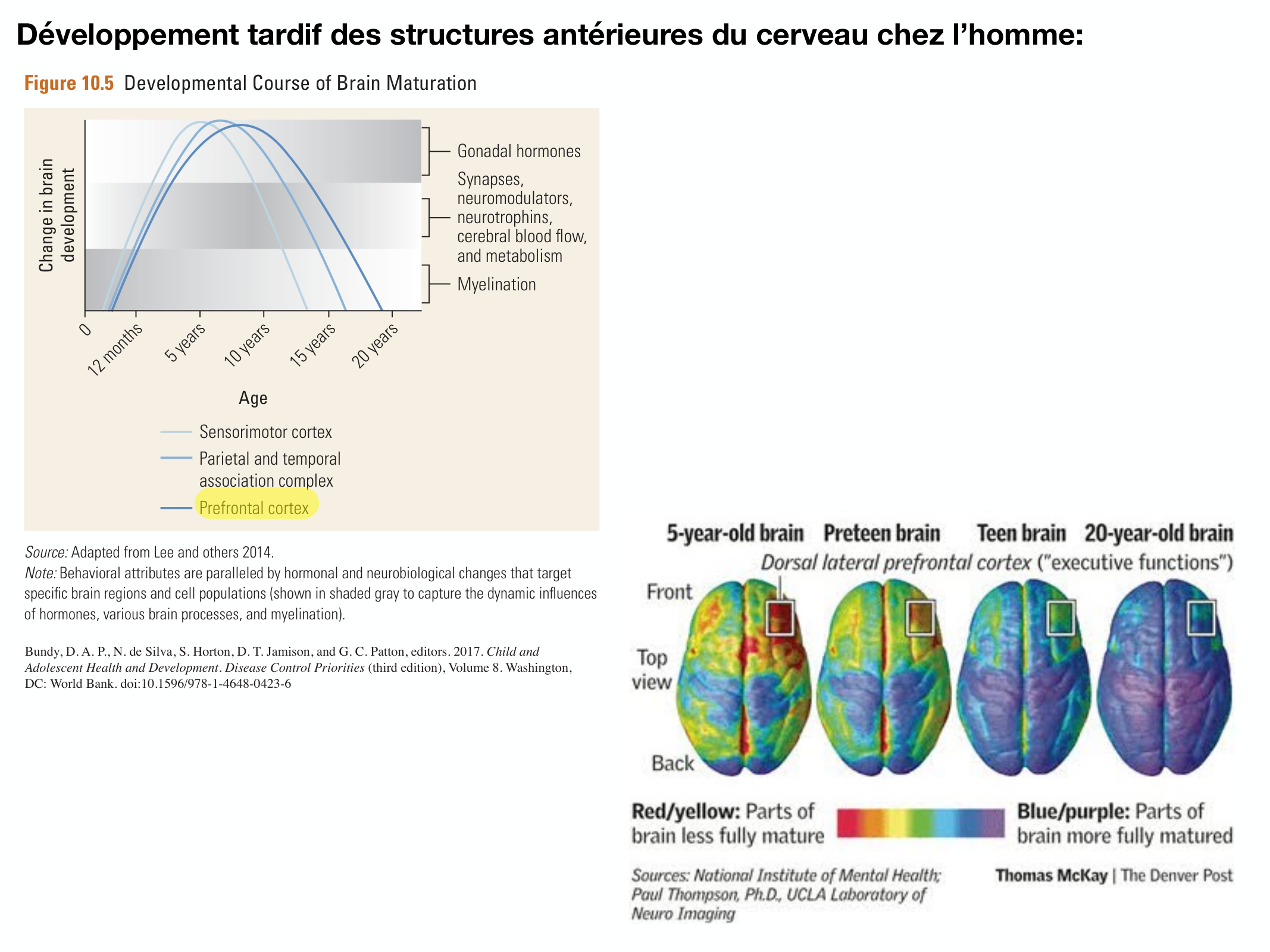 Fonctions Executives Eliez 2026 page 11