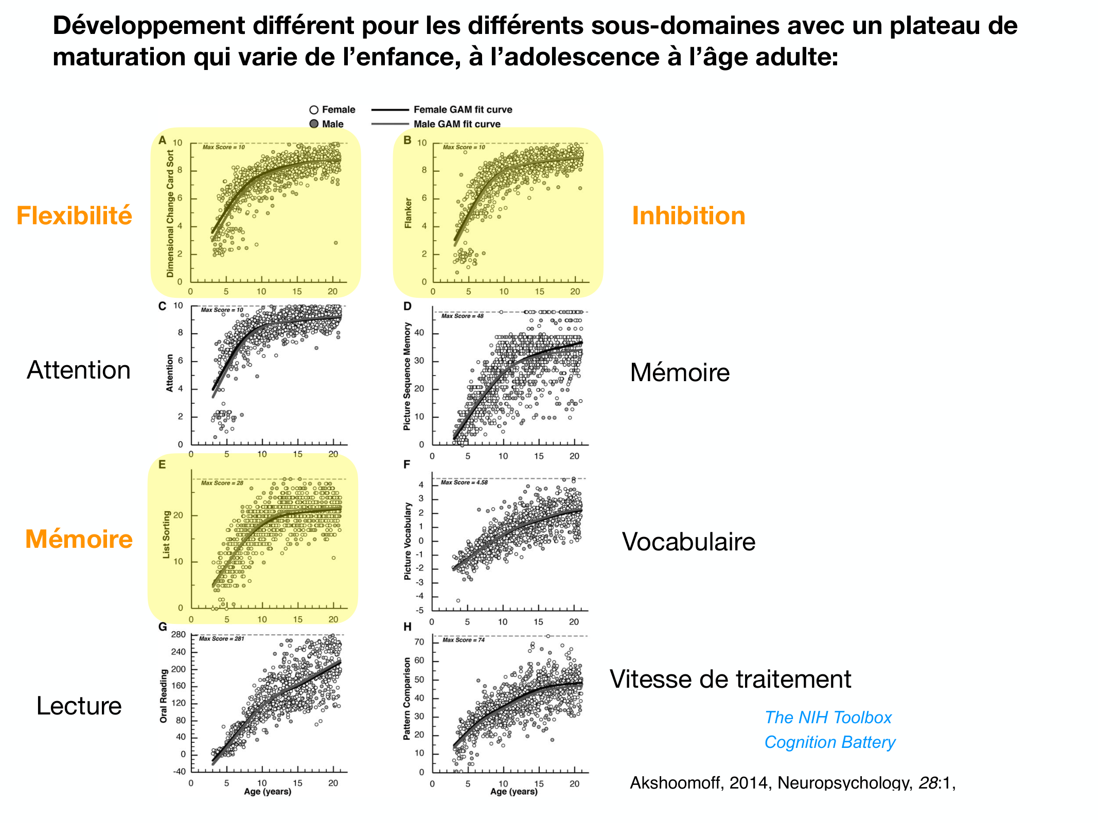 Fonctions Executives Eliez 2026 page 13