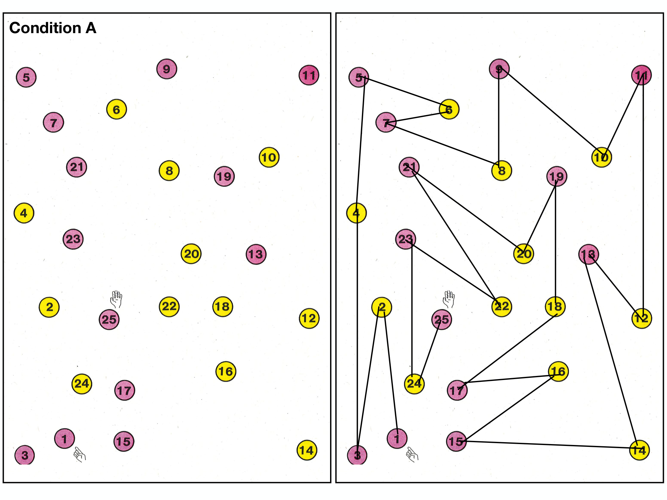 Fonctions Executives Eliez 2026 page 23