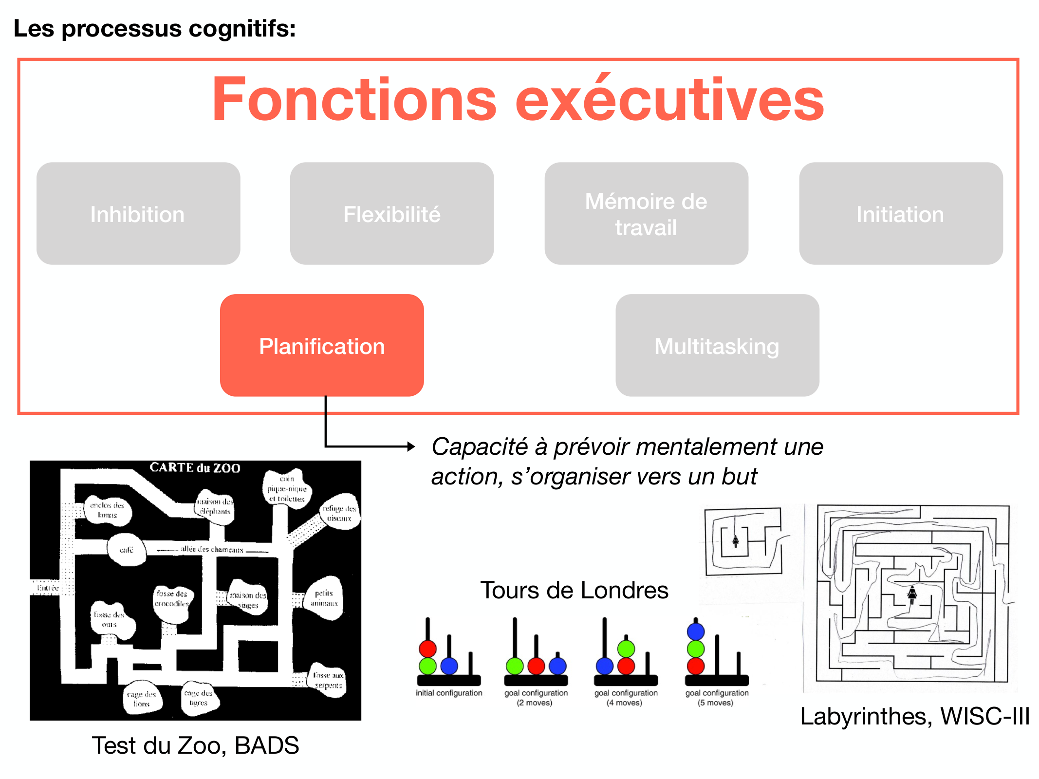 Fonctions Executives Eliez 2026 page 29