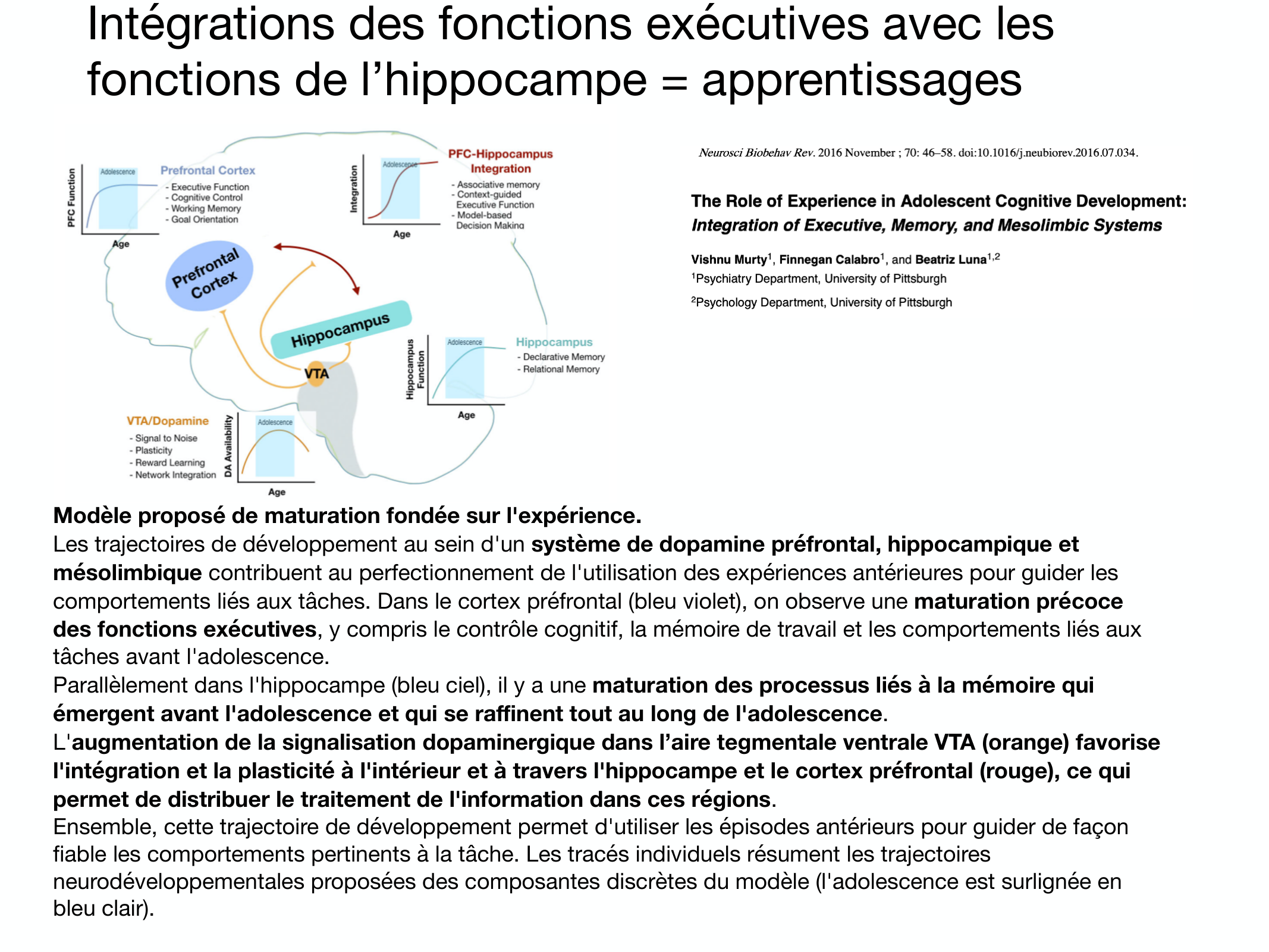 Fonctions Executives Eliez 2026 page 31
