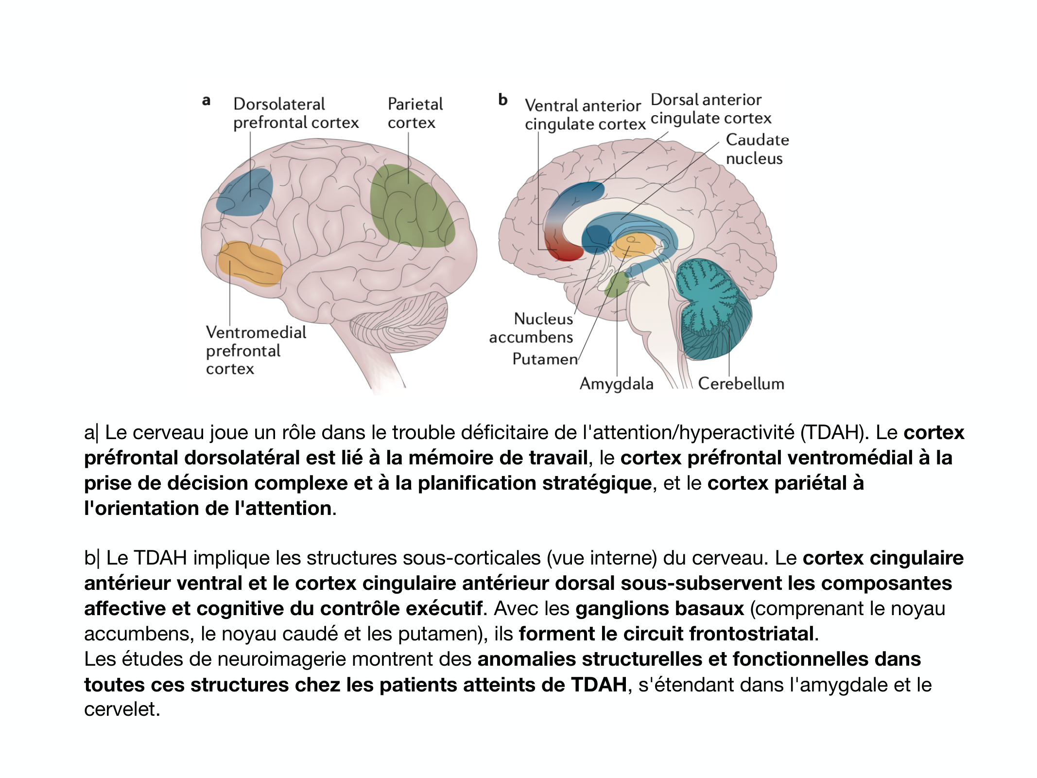Fonctions Executives Eliez 2026 page 40