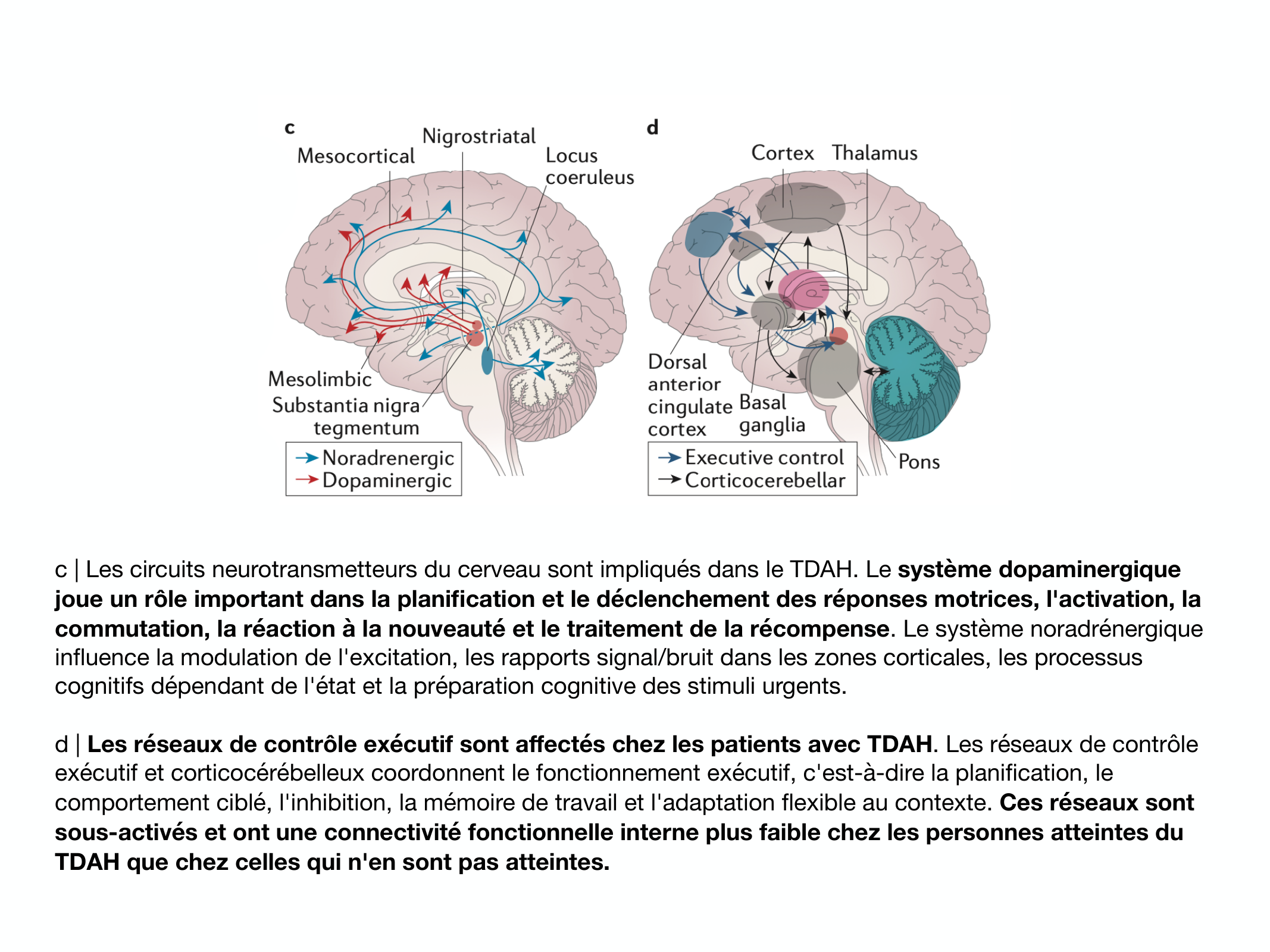 Fonctions Executives Eliez 2026 page 41