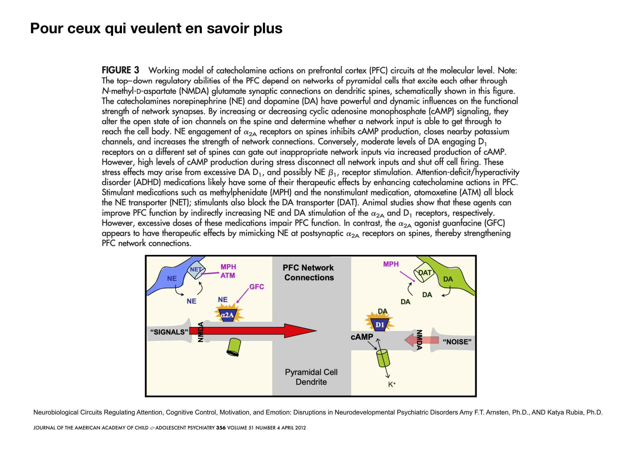 Fonctions Executives Eliez 2026 page 42