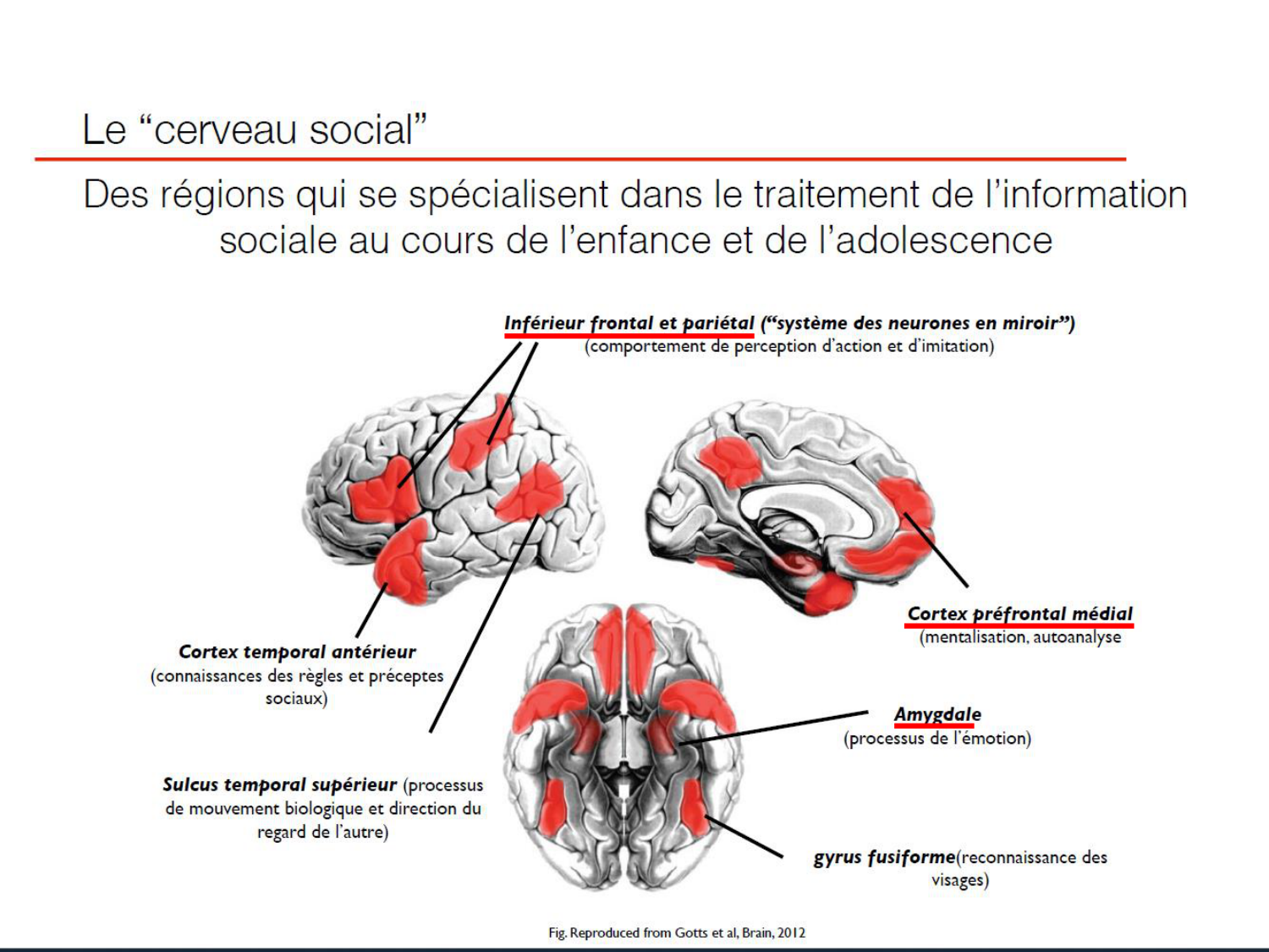 Luthy bilan agesVie 26AR page 17