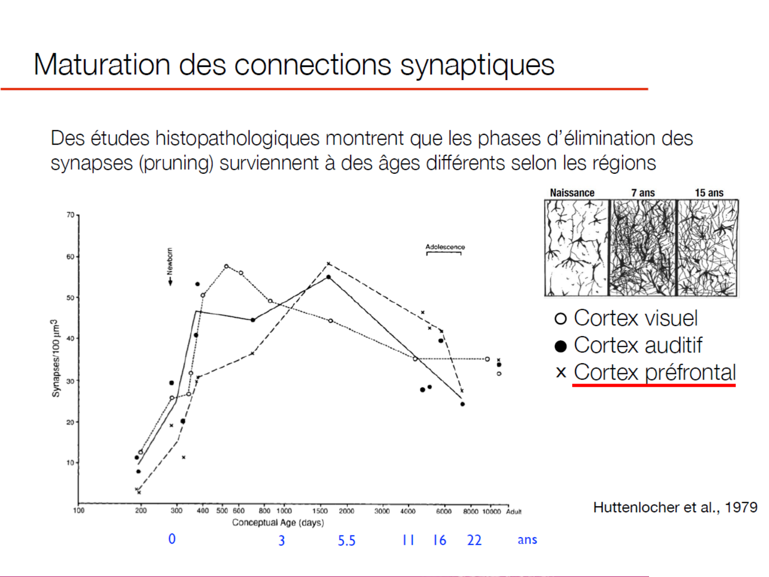 Luthy bilan agesVie 26AR page 32