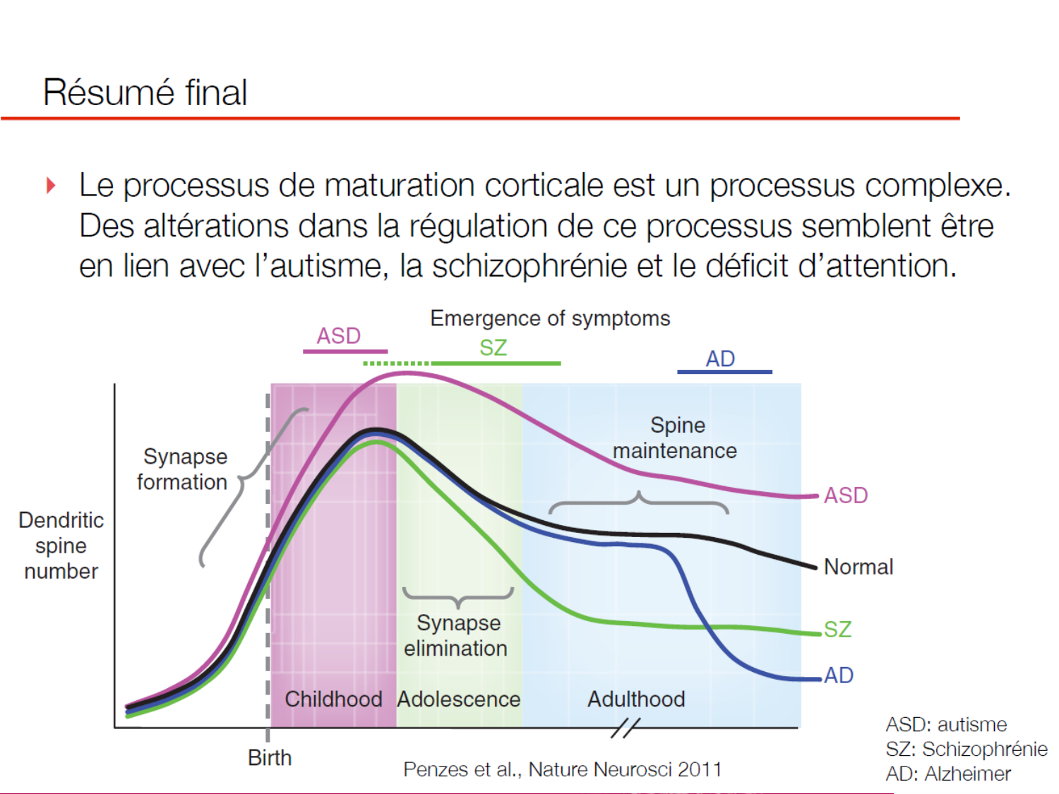 Luthy bilan agesVie 26AR page 35