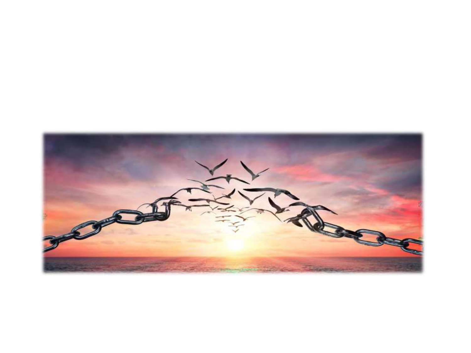 PSS - Décision médicale - Limpact des biais cognitifs sur la décision - PSS 08.01.26 page 40