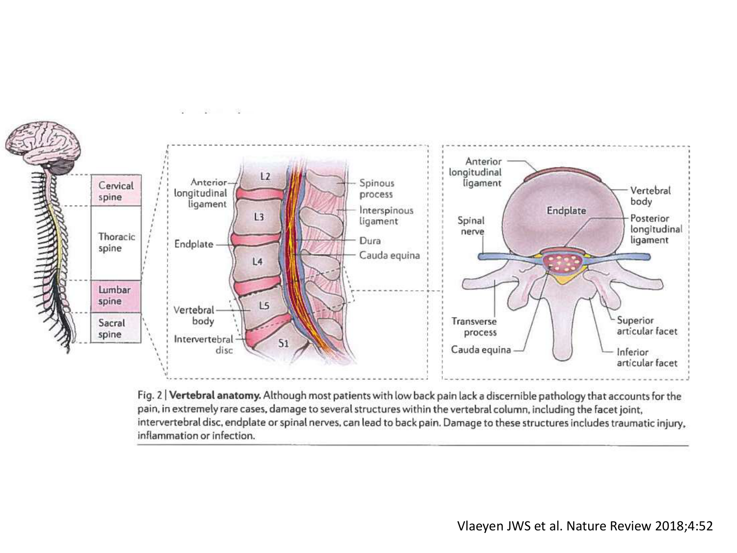 PSS Défis de la prise en charge de la lombalgie 2026 page 6