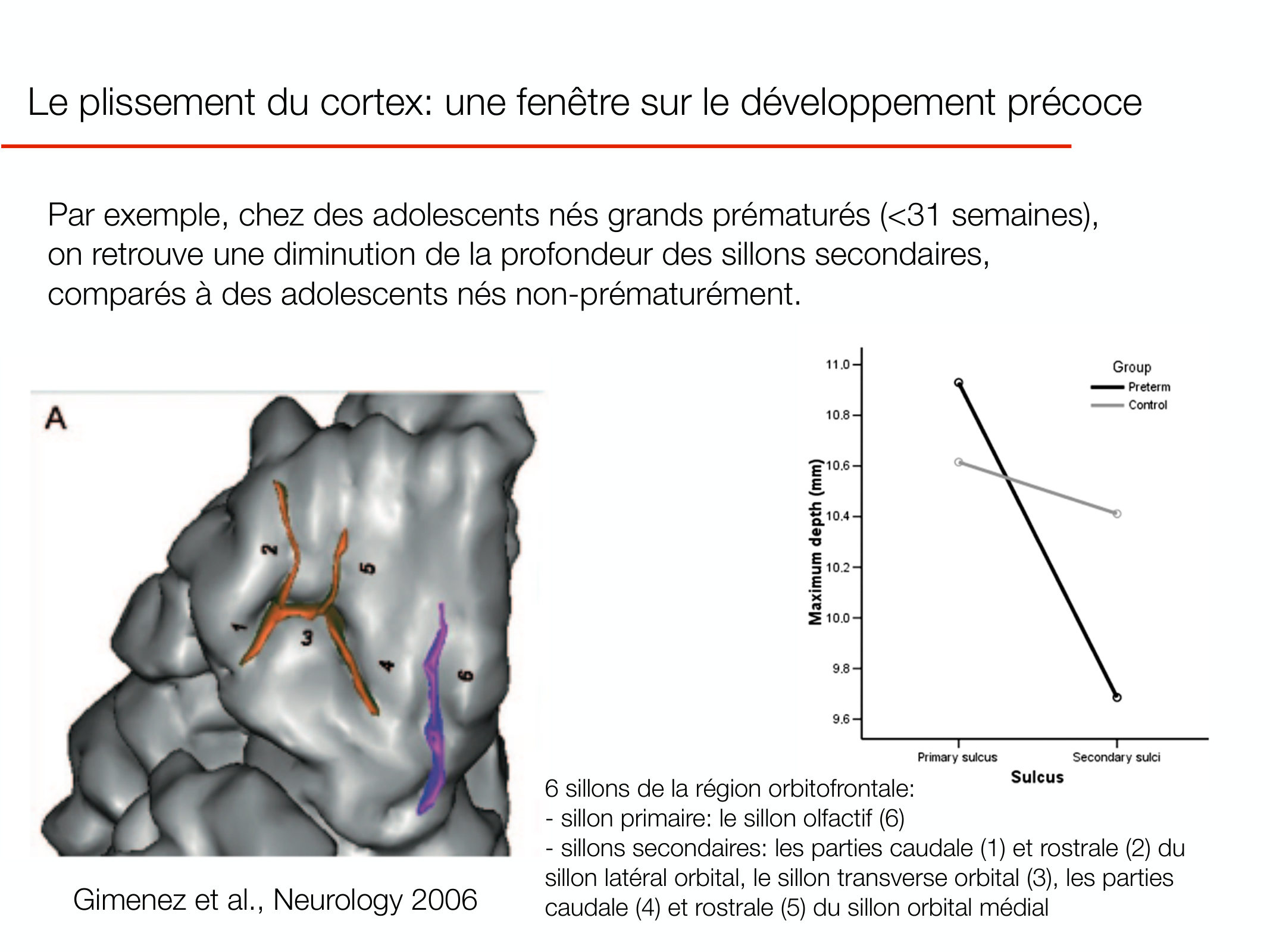 PSS DeveloppementCerebral 2026 page 6