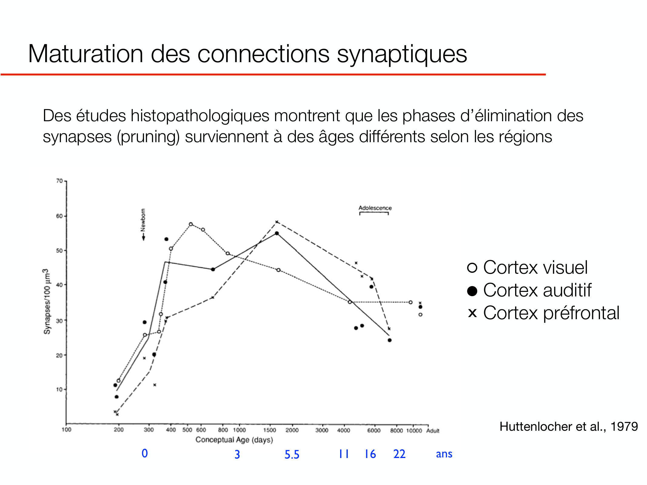 PSS DeveloppementCerebral 2026 page 8