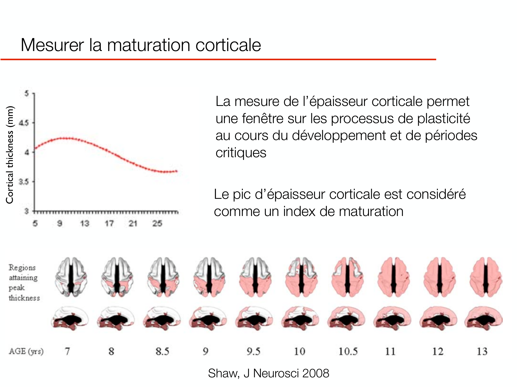 PSS DeveloppementCerebral 2026 page 11