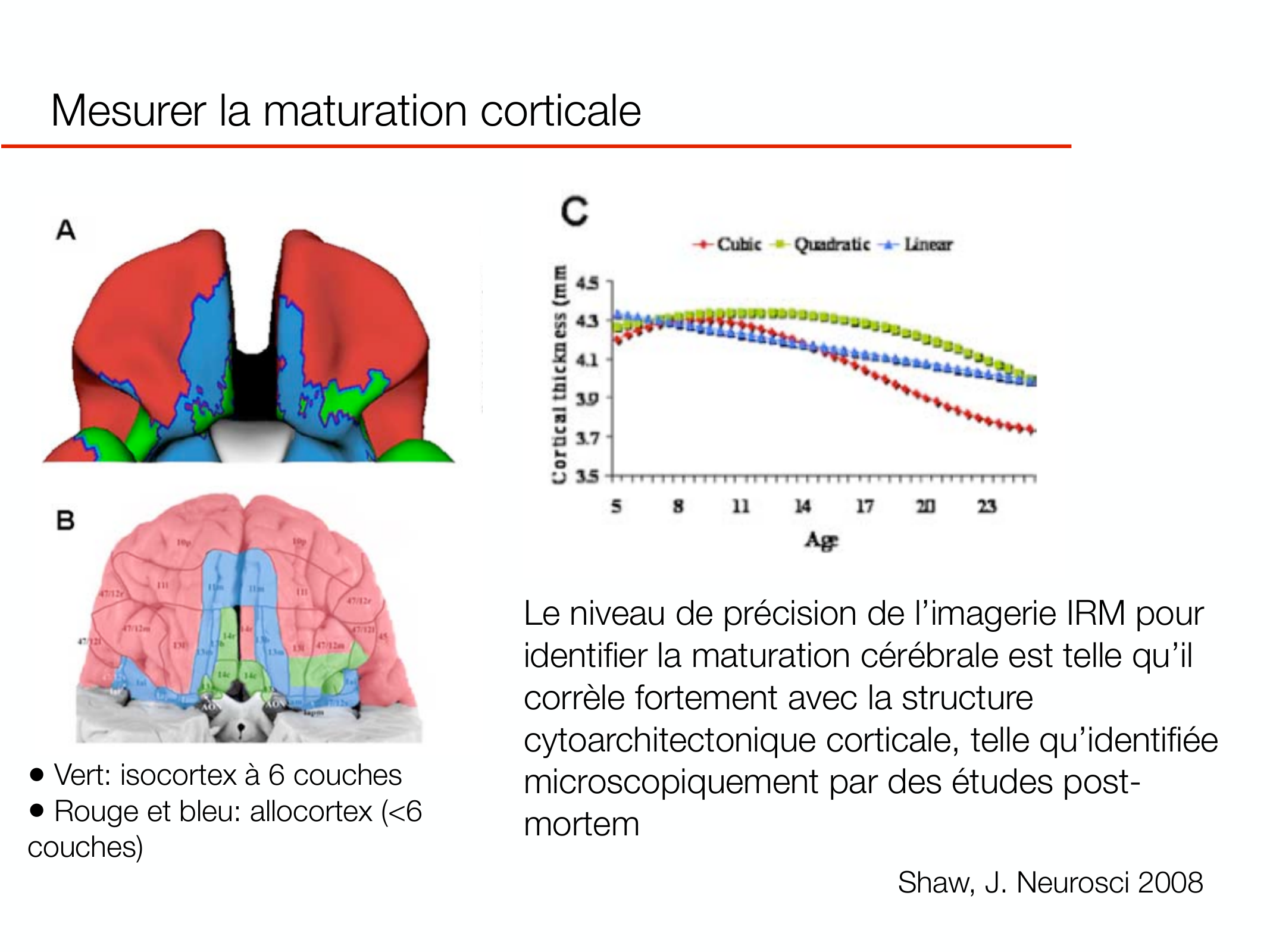 PSS DeveloppementCerebral 2026 page 12