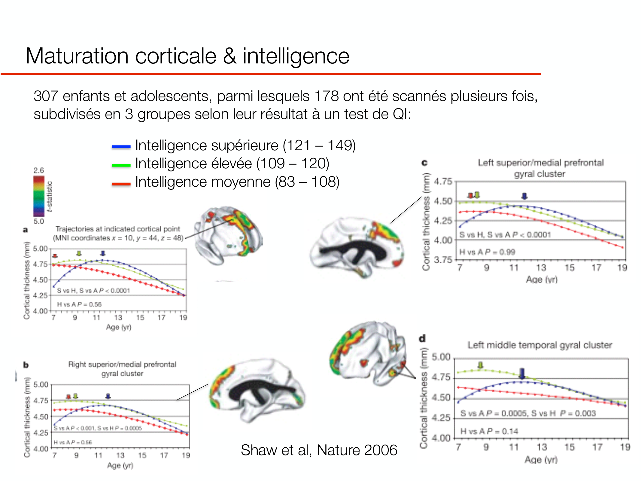 PSS DeveloppementCerebral 2026 page 13