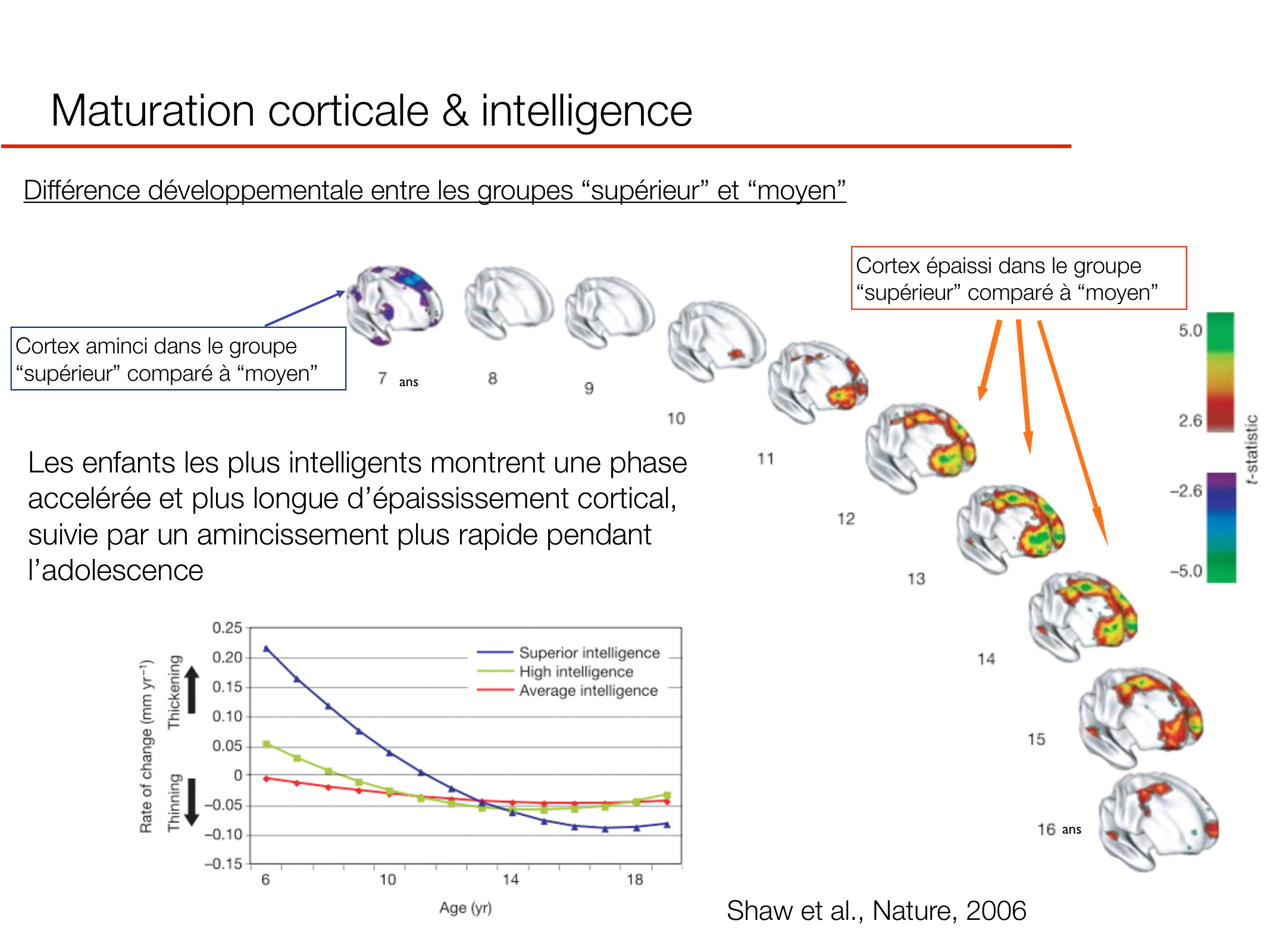PSS DeveloppementCerebral 2026 page 14