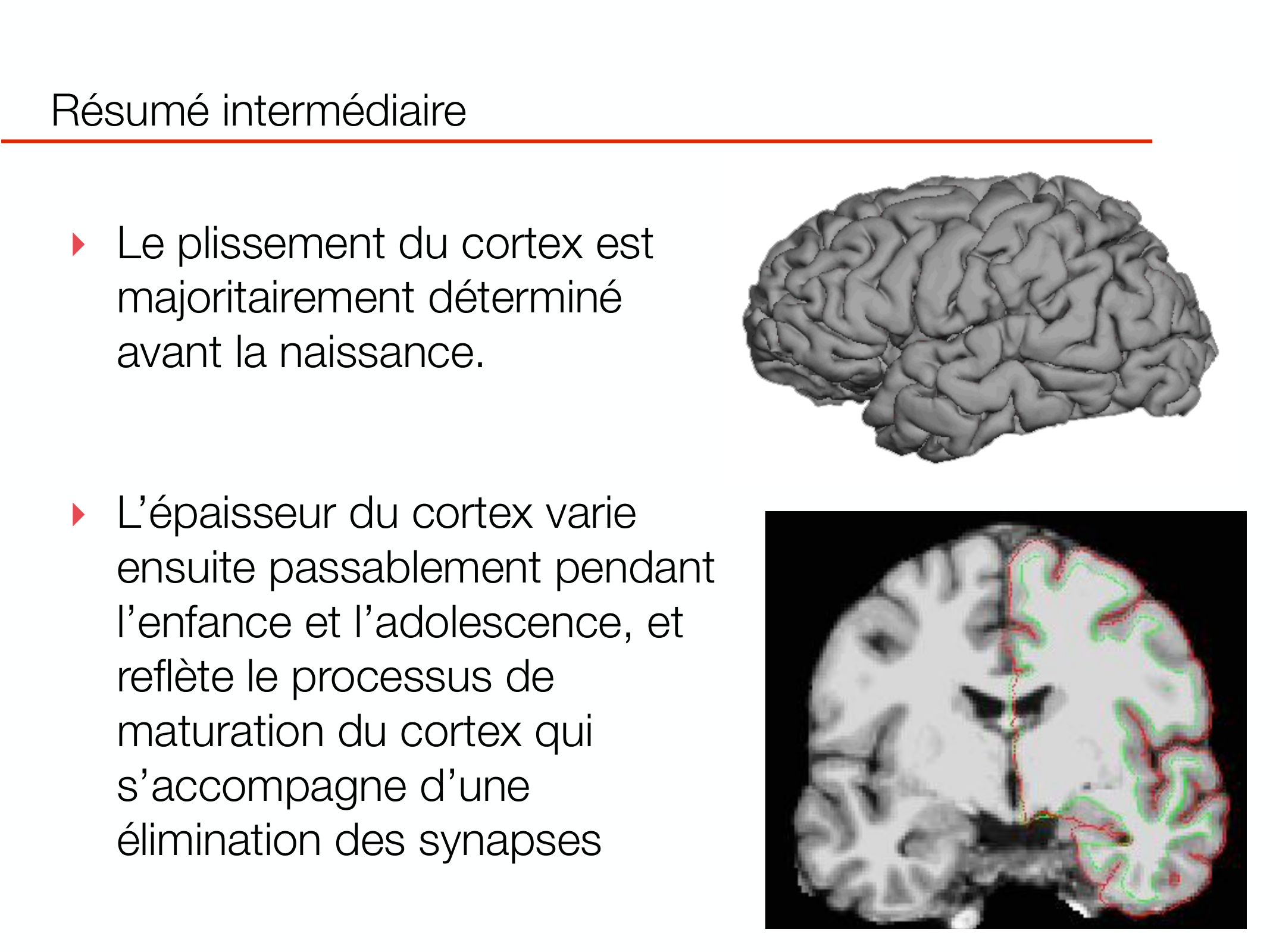 PSS DeveloppementCerebral 2026 page 15