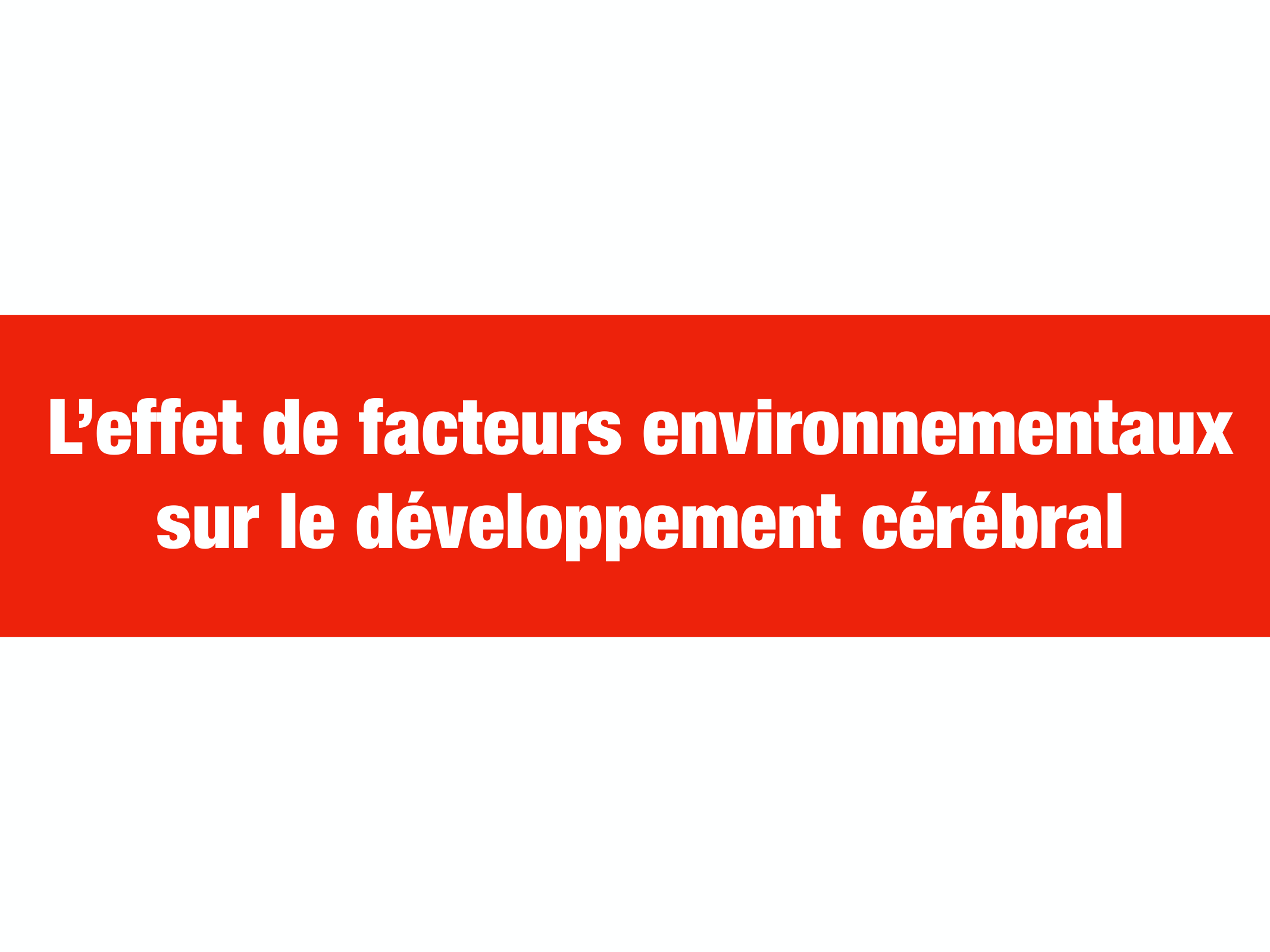 PSS DeveloppementCerebral 2026 page 16