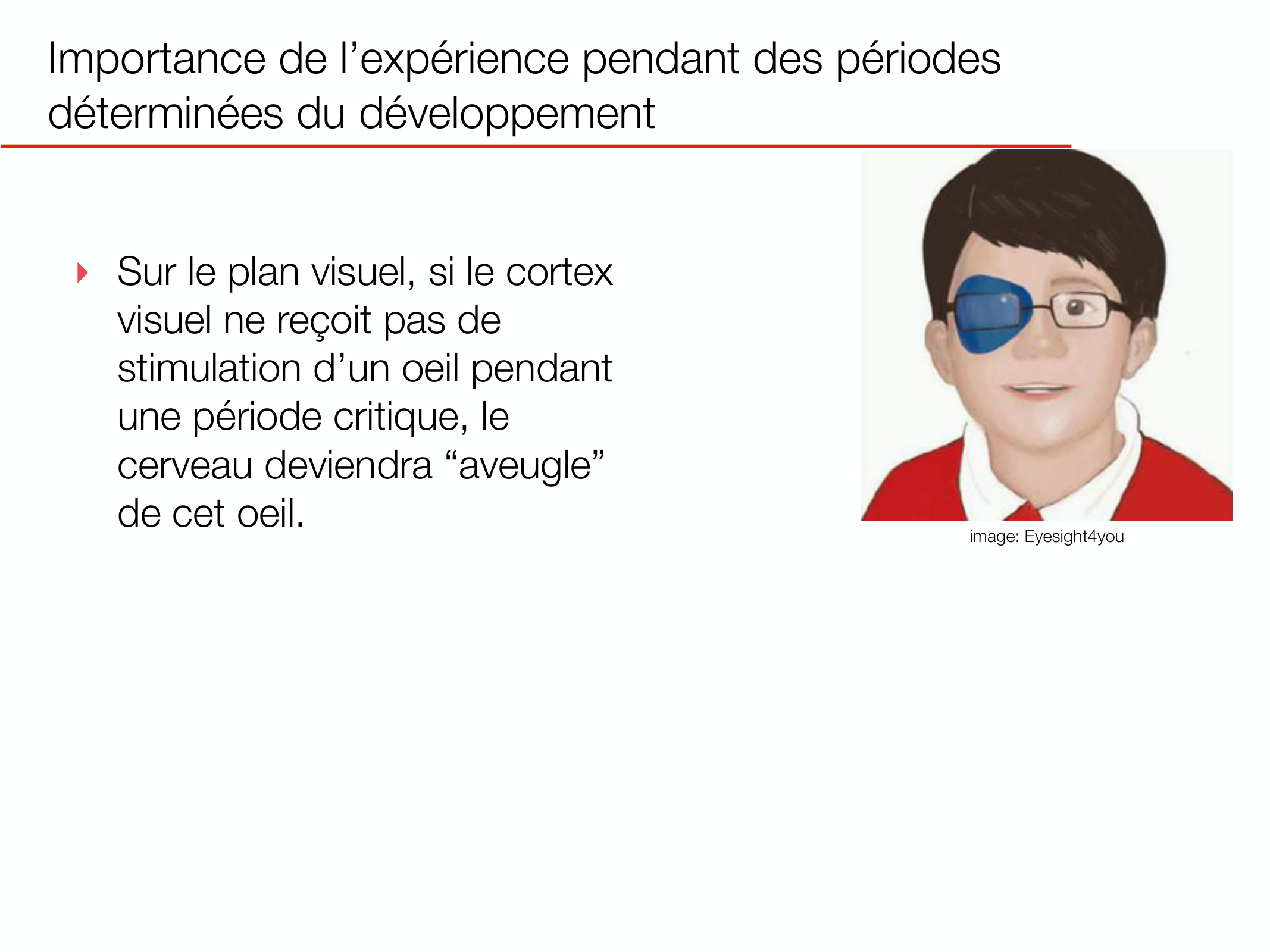 PSS DeveloppementCerebral 2026 page 18