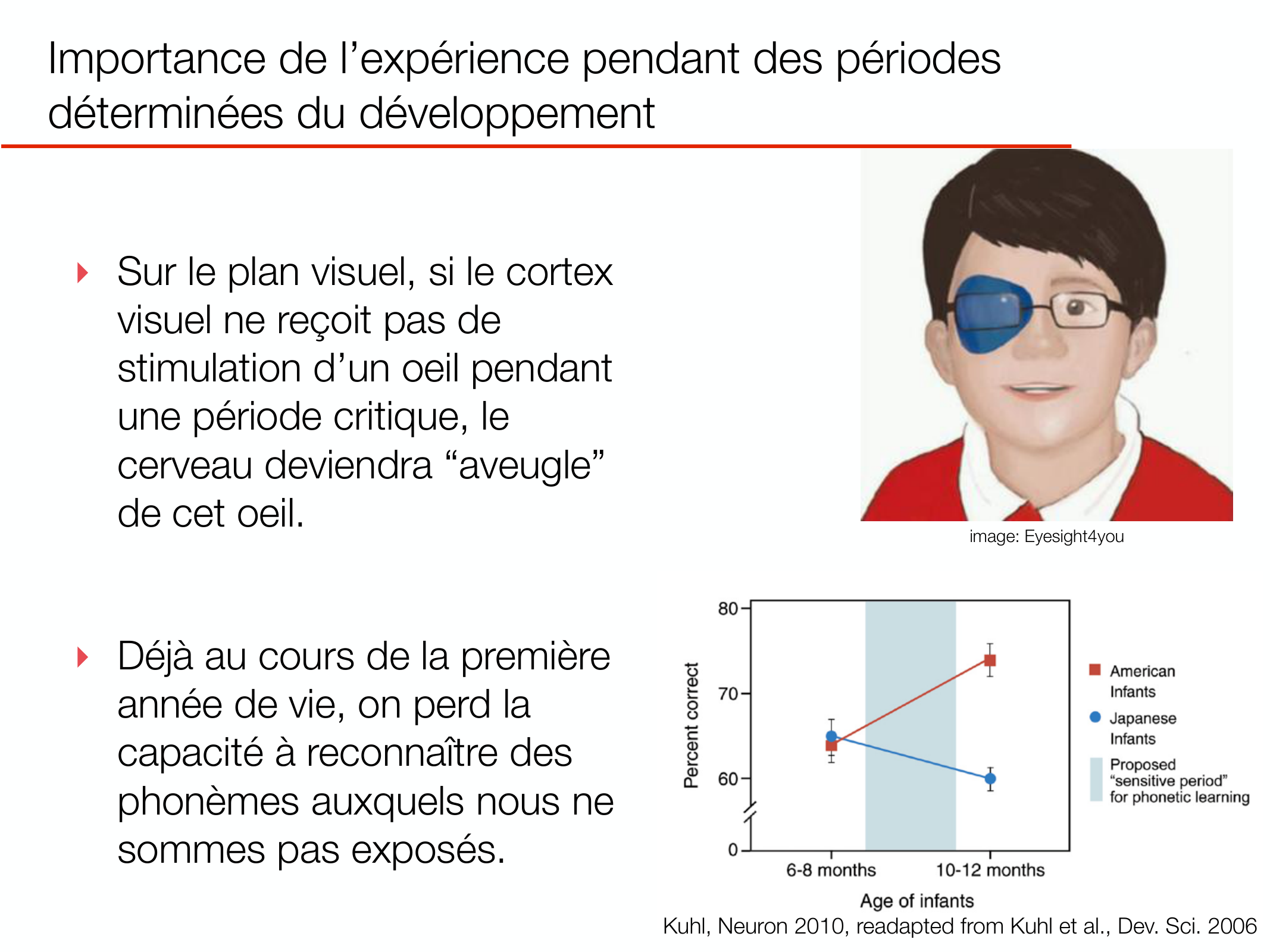 PSS DeveloppementCerebral 2026 page 19