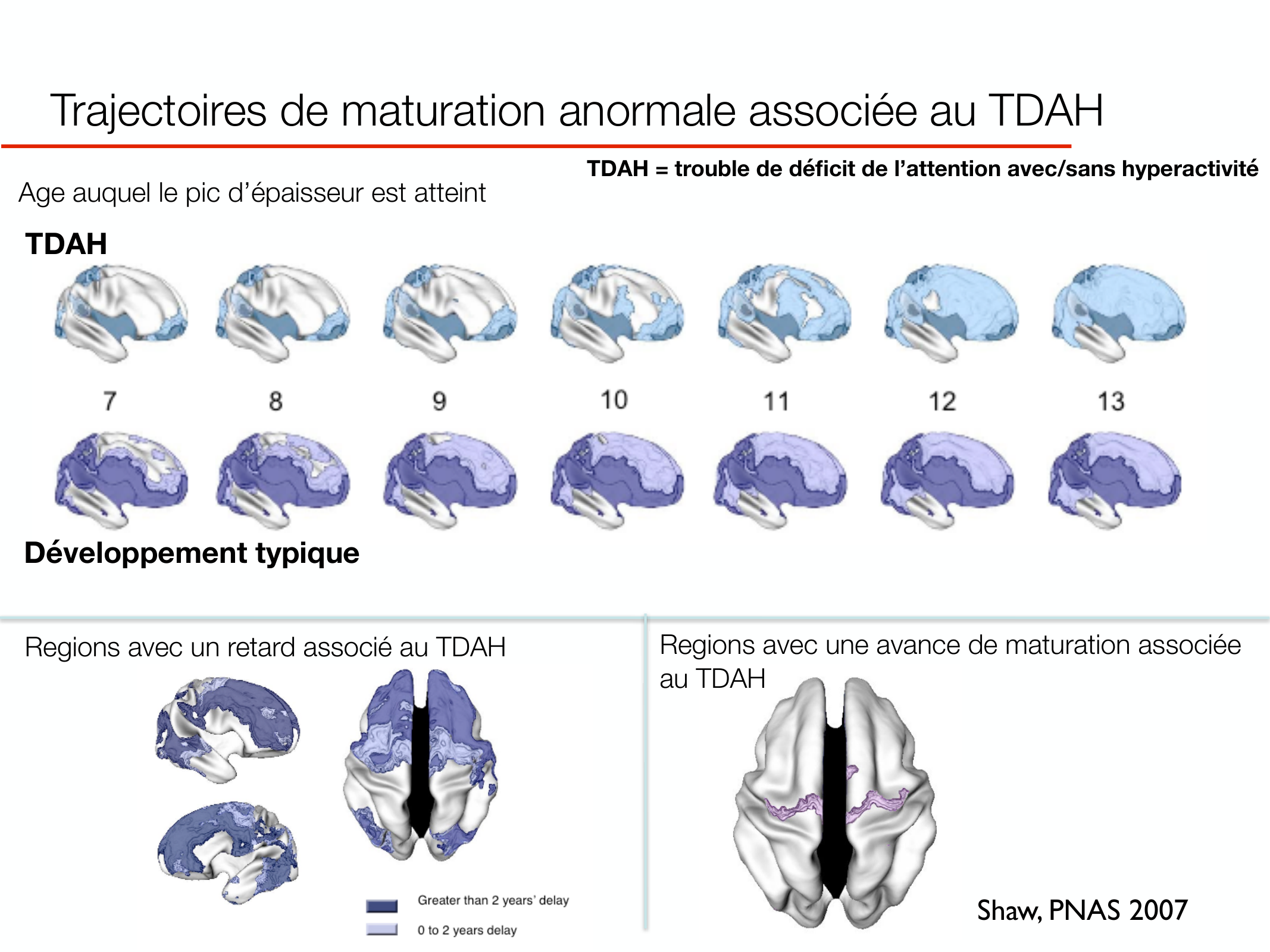 PSS DeveloppementCerebral 2026 page 23