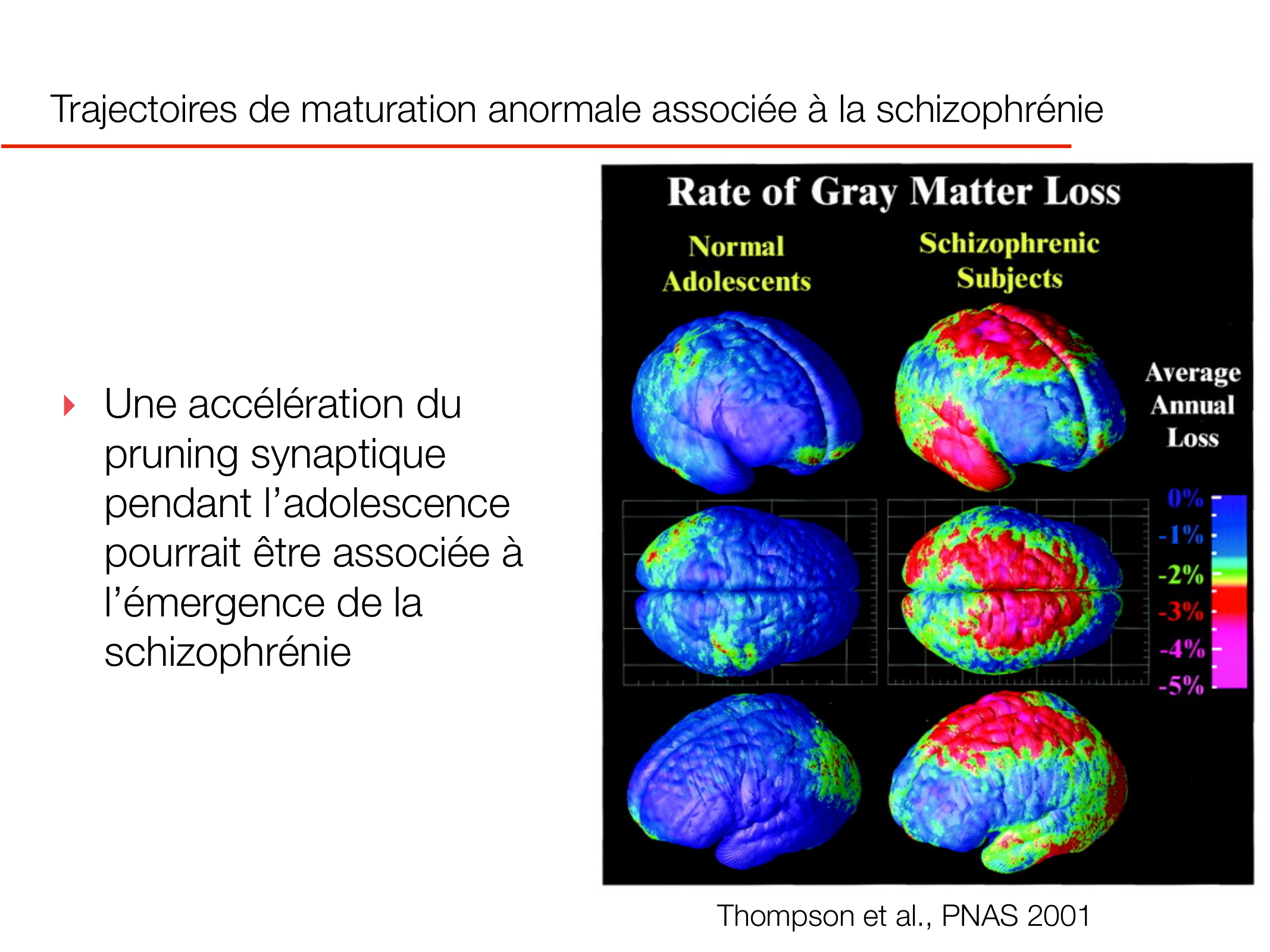 PSS DeveloppementCerebral 2026 page 24