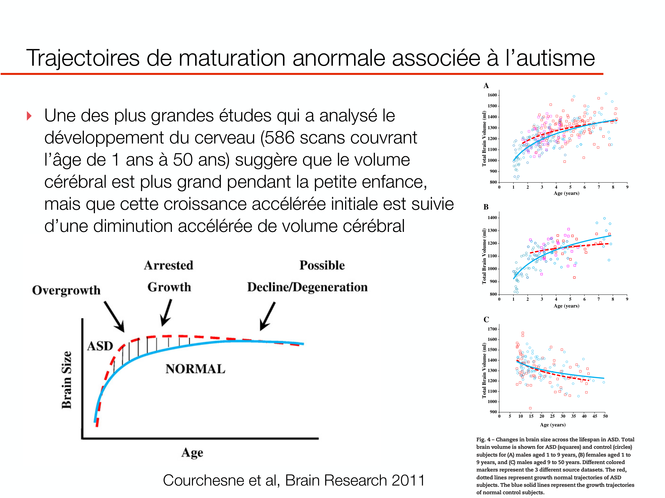 PSS DeveloppementCerebral 2026 page 25