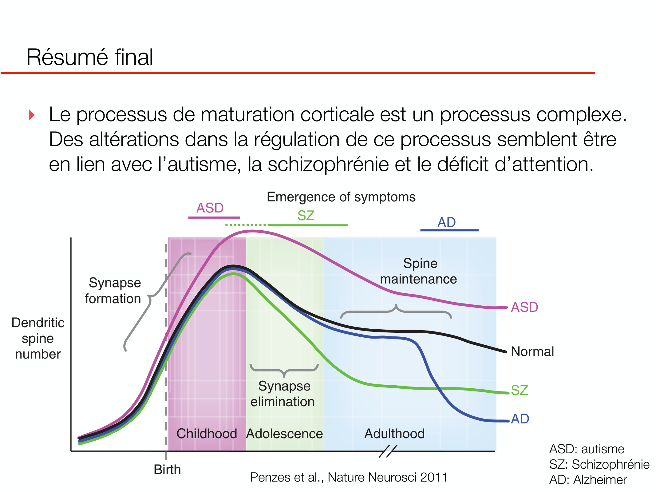 PSS DeveloppementCerebral 2026 page 26