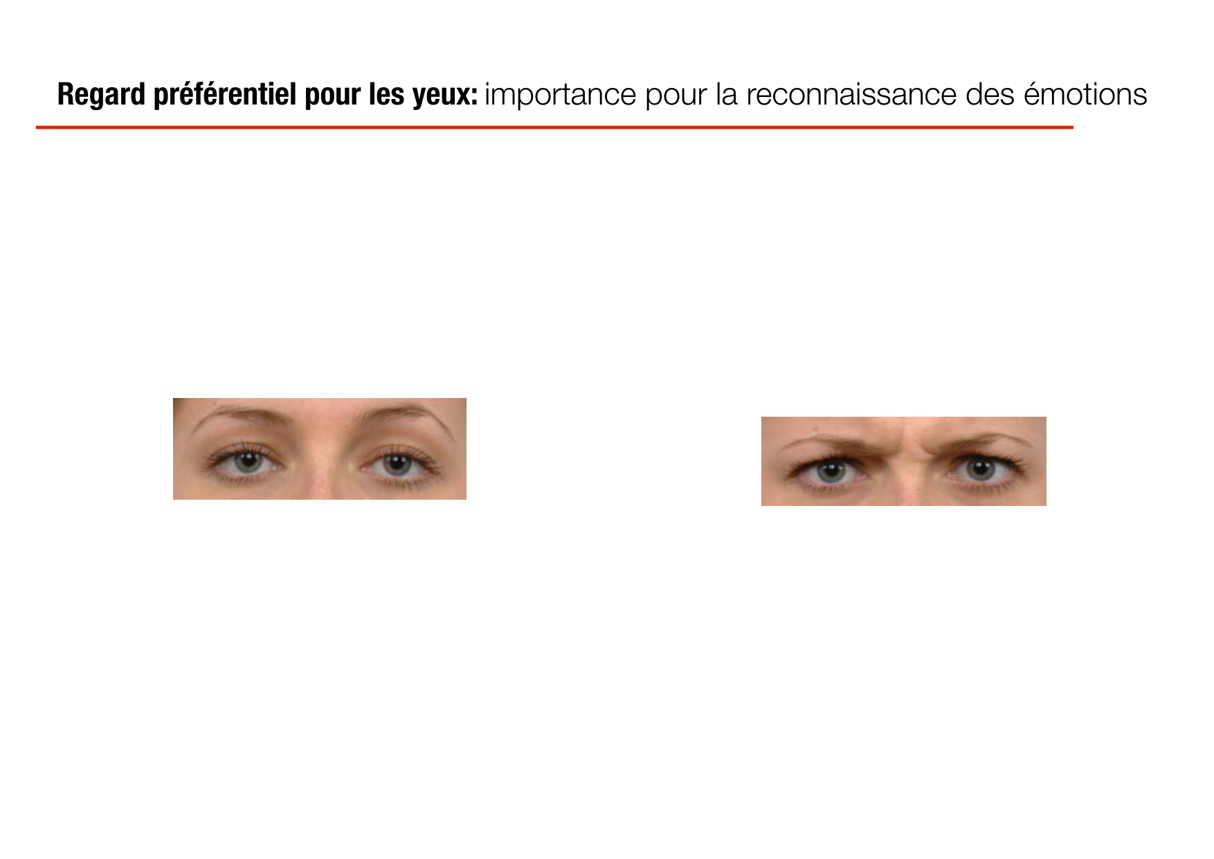PSS Socialisation 2026 page 12