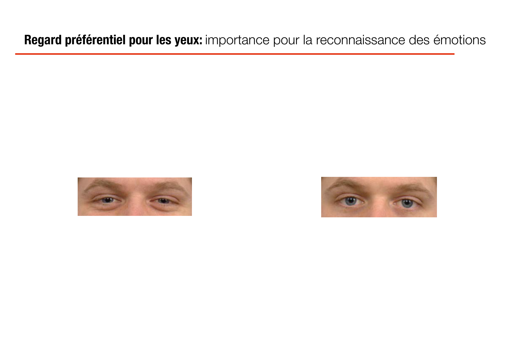 PSS Socialisation 2026 page 14