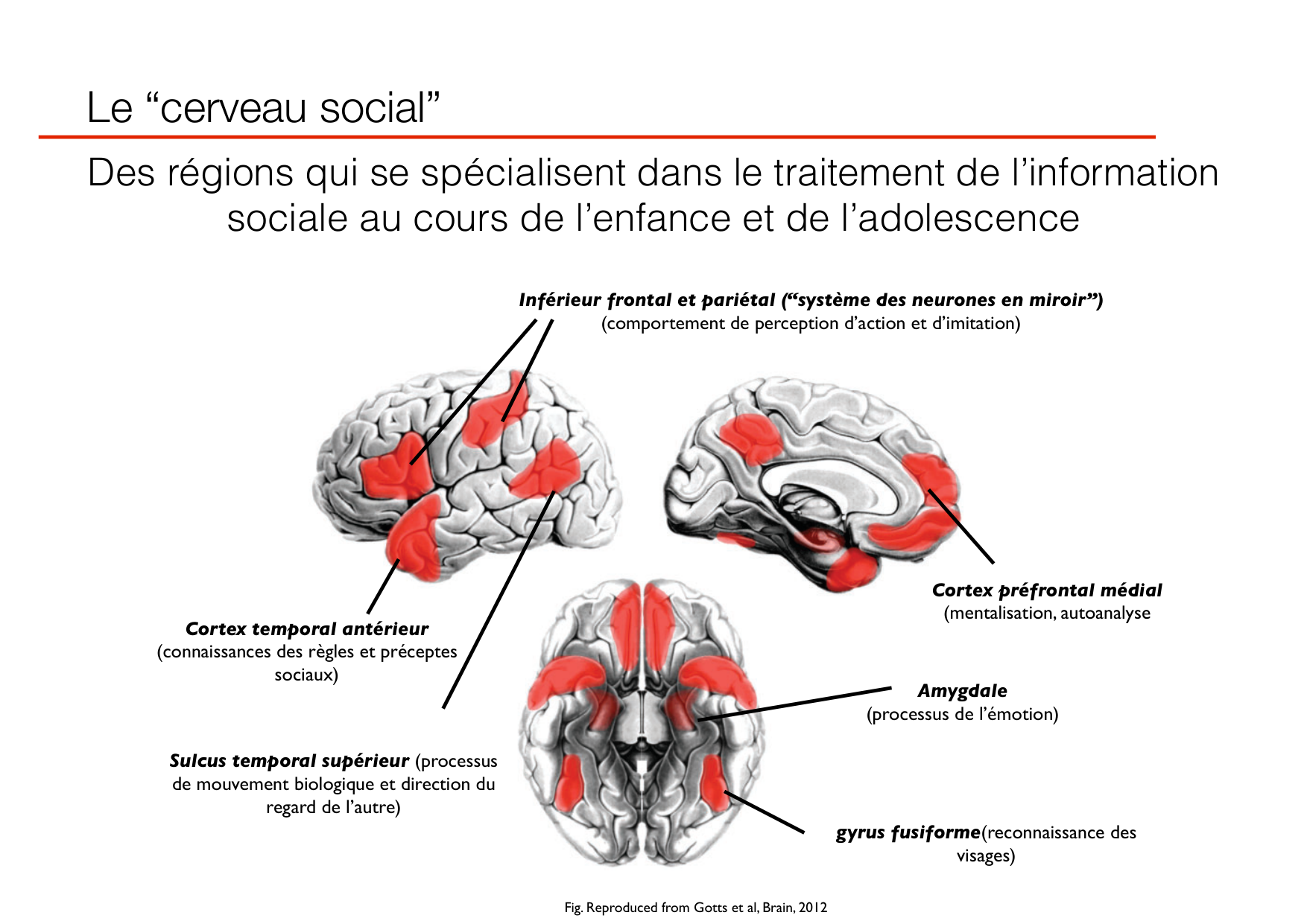 PSS Socialisation 2026 page 25