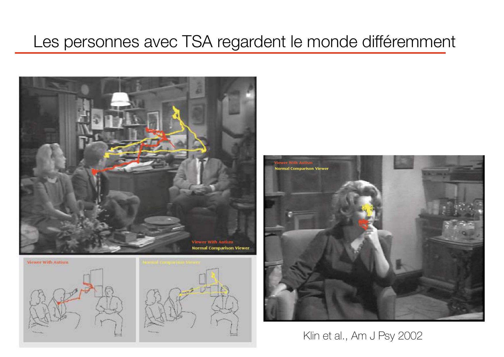 PSS Socialisation 2026 page 30