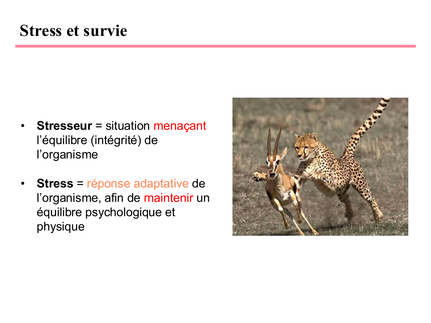 Piguet PSS 2025 page 7