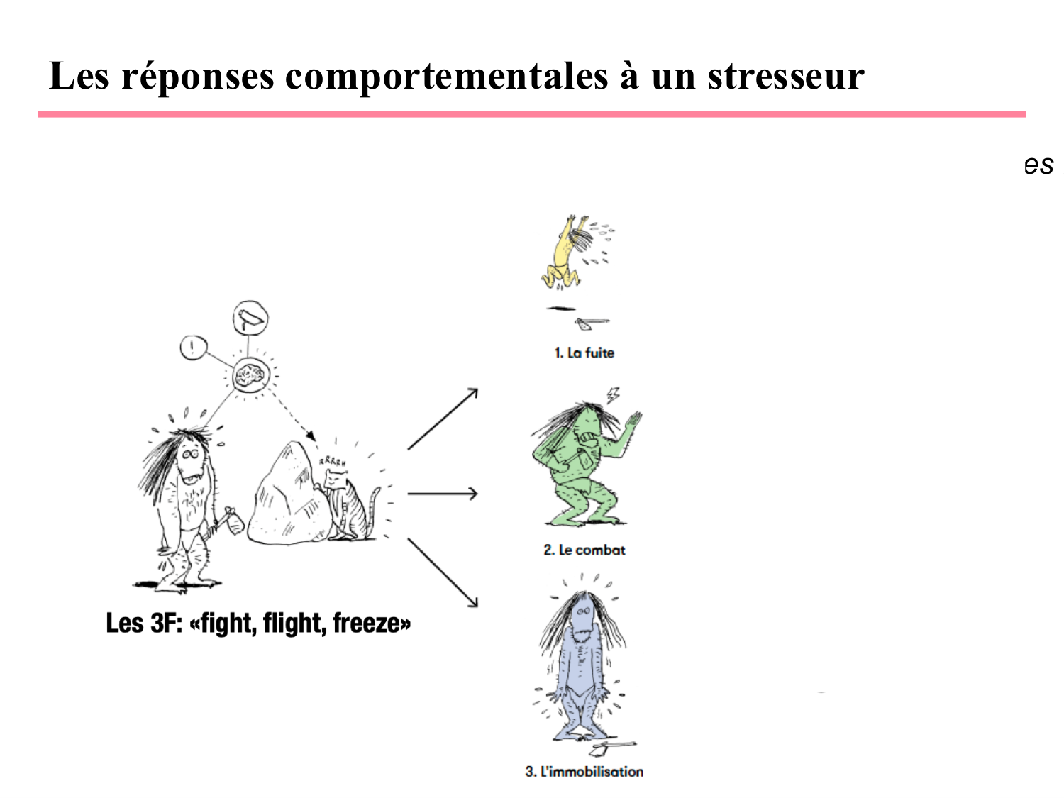 Piguet PSS 2025 page 9