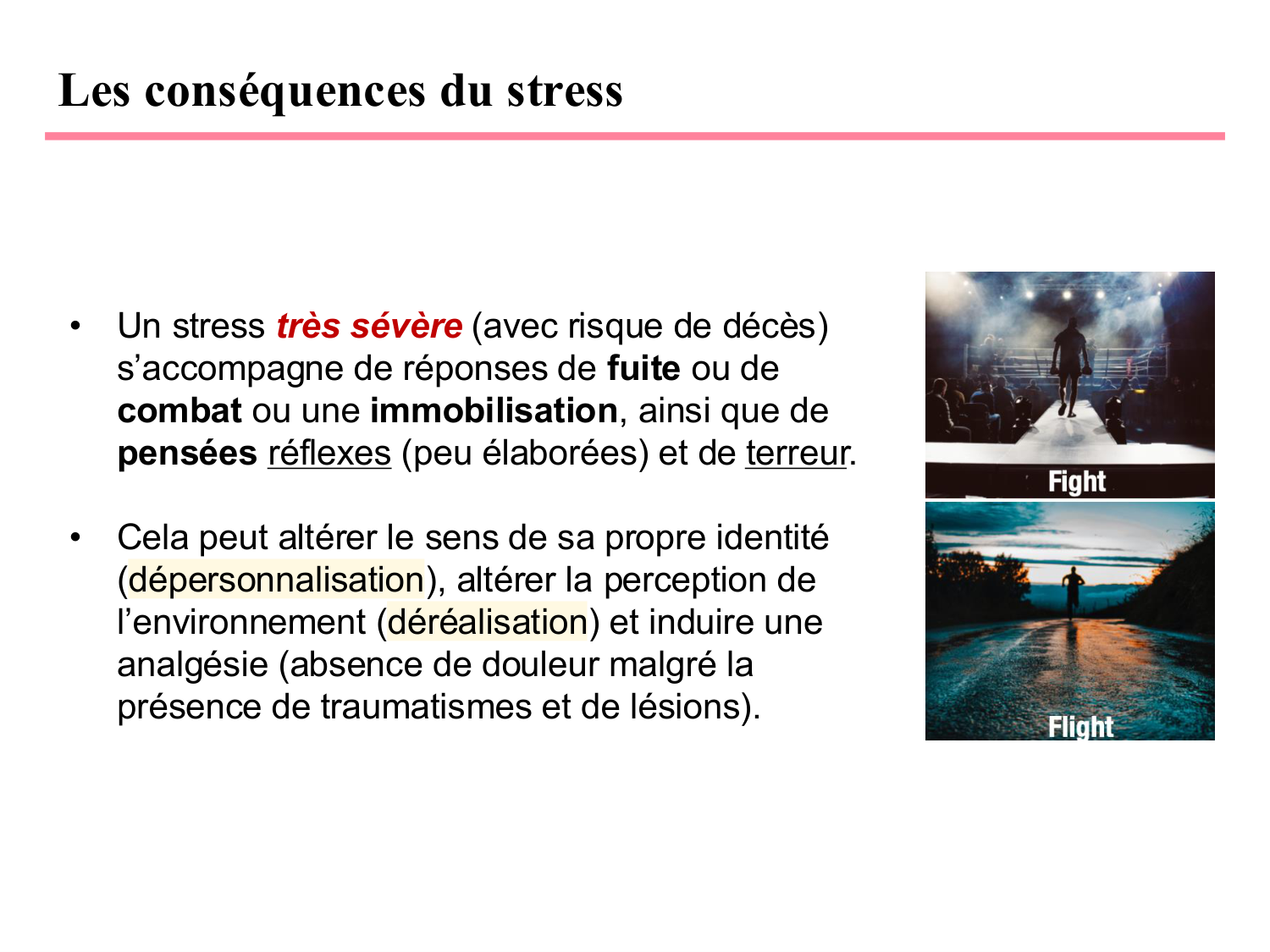 Piguet PSS 2025 page 11