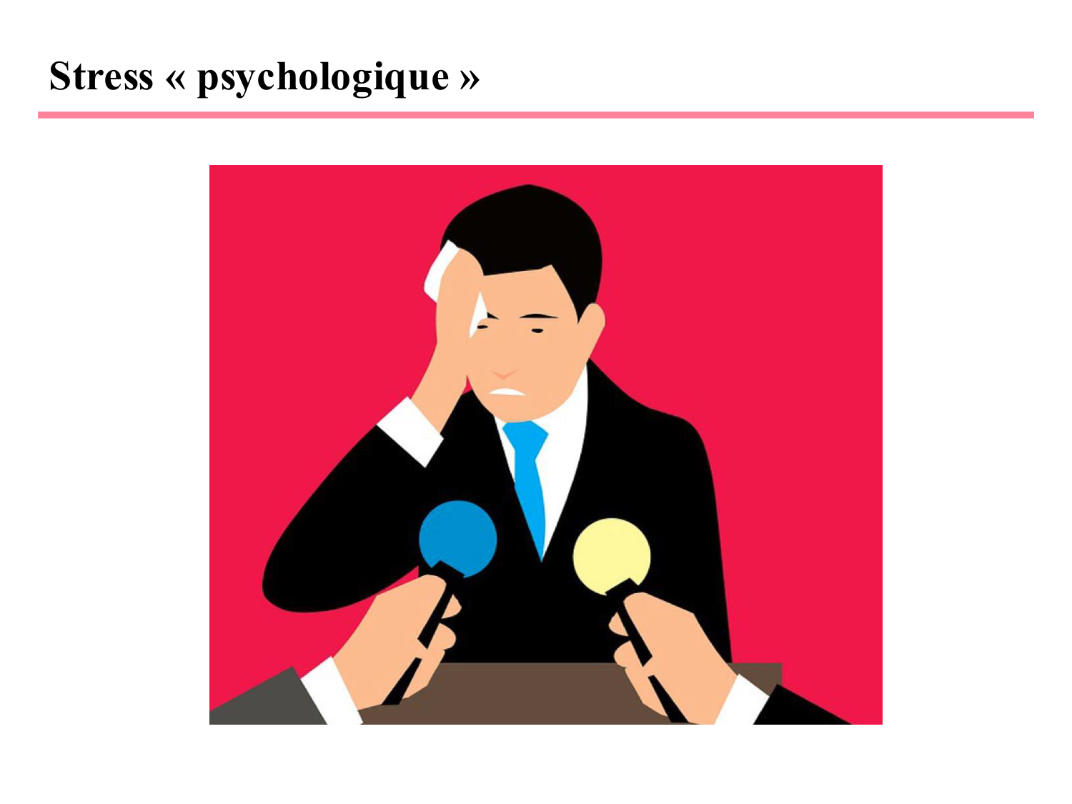 Piguet PSS 2025 page 13